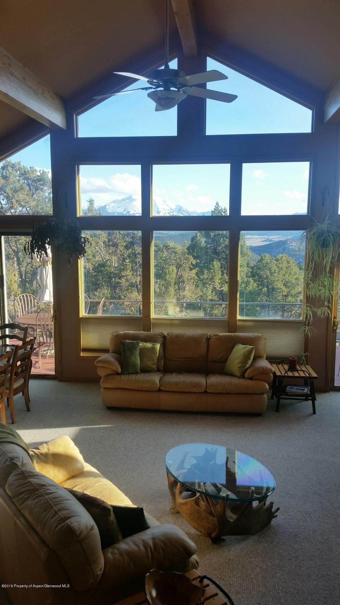 206 Cedar Cove, Glenwood Springs, CO 81601 - Photo 8