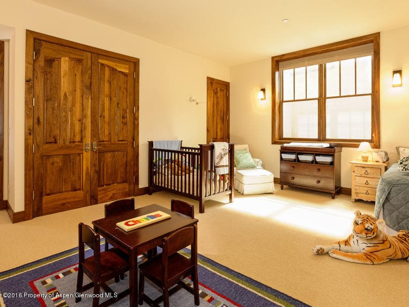 1095 Cemetery, Aspen, CO 81611 - Photo 20