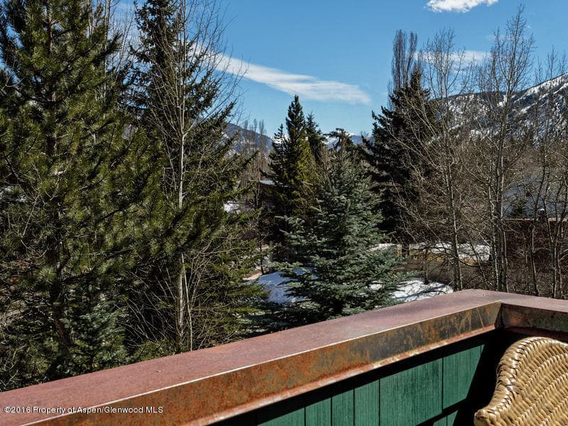 1095 Cemetery, Aspen, CO 81611 - Photo 25