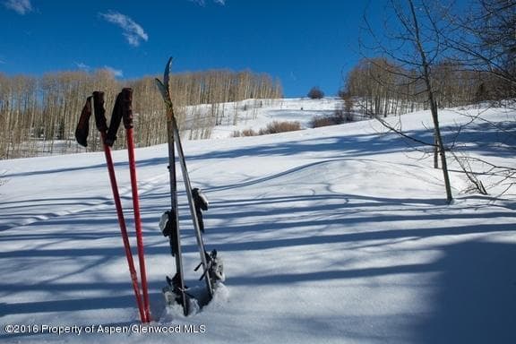 530 Divide Drive, Snowmass Village, CO 81615 - Photo 34