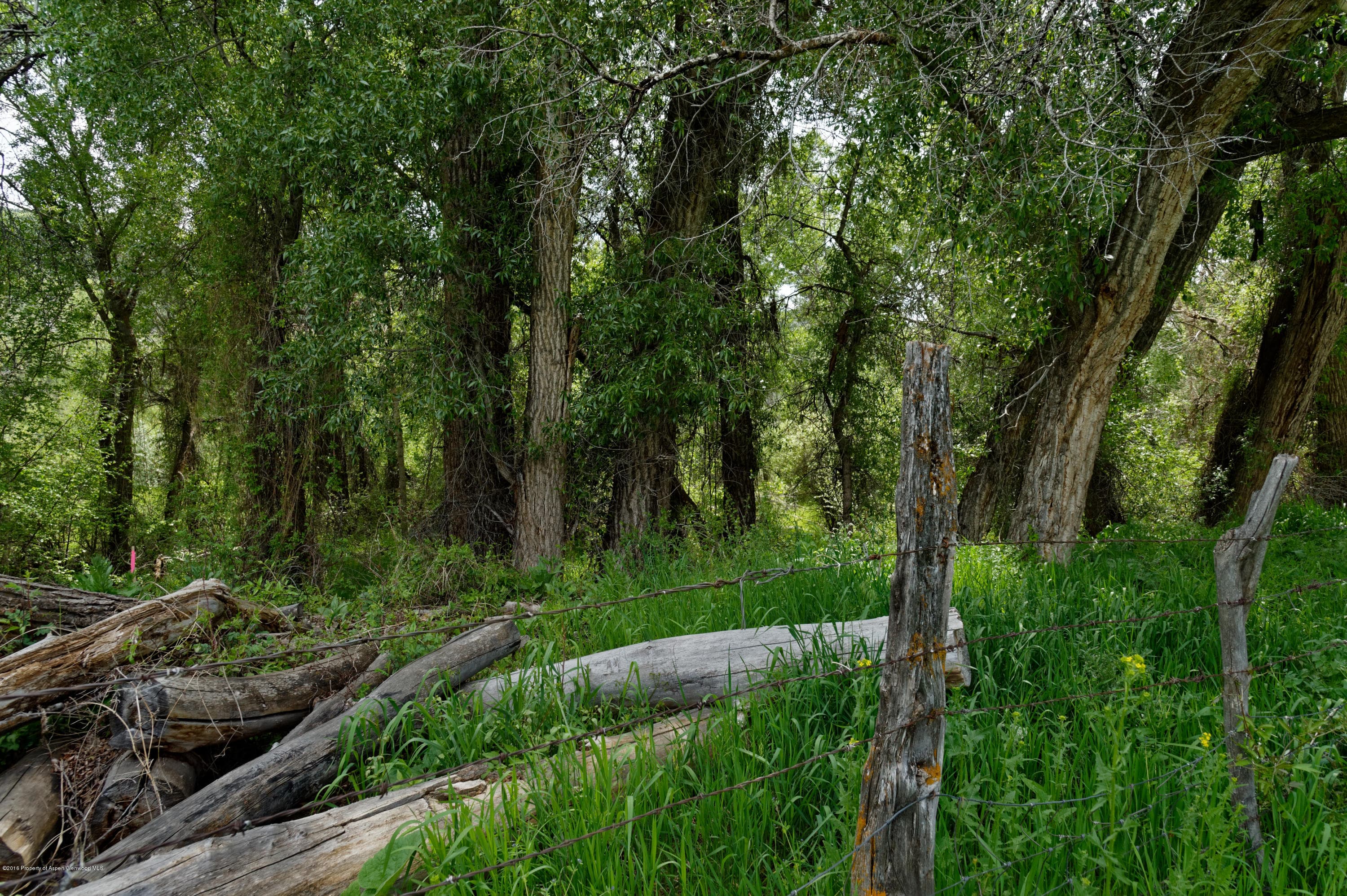16411 Old Hwy 82, Carbondale, CO 81623 - Photo 23