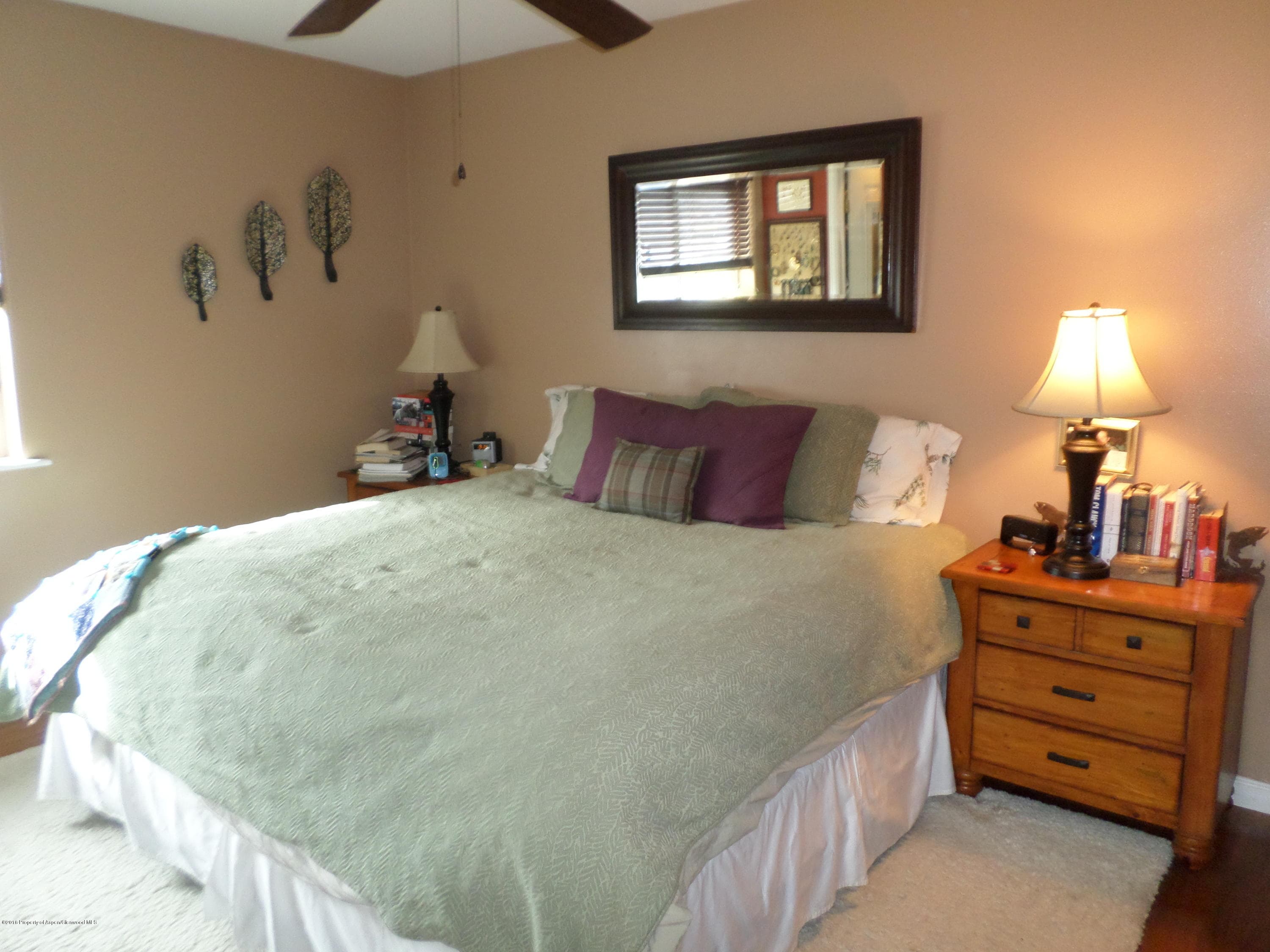 303 Buckthorn Road, New Castle, CO 81647 - Photo 12