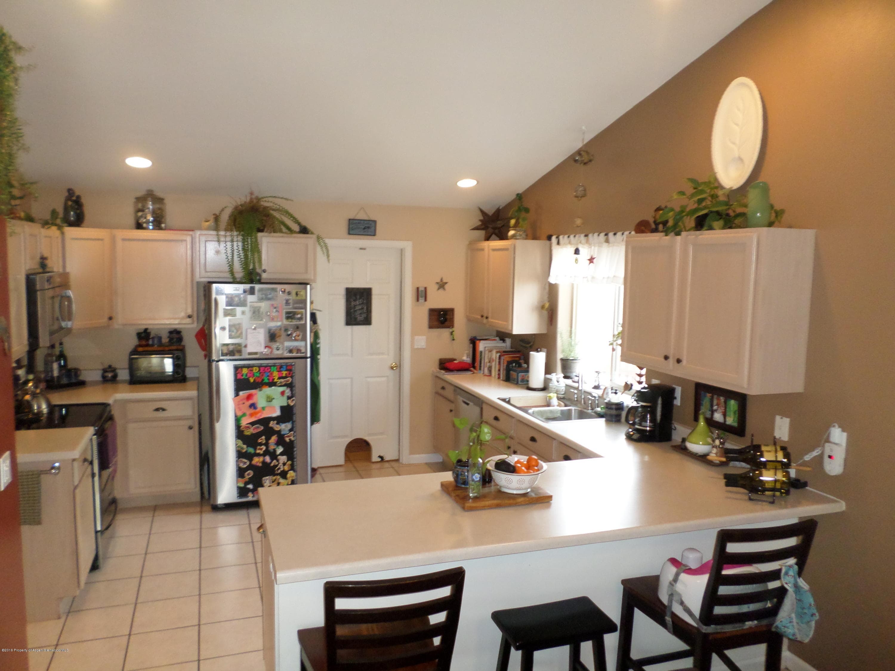 303 Buckthorn Road, New Castle, CO 81647 - Photo 4