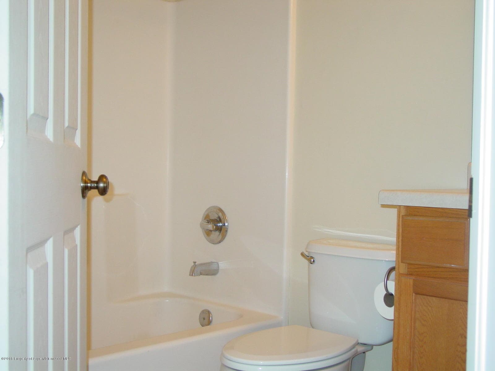 1133 W 24th Street, Rifle, CO 81650 - Photo 14