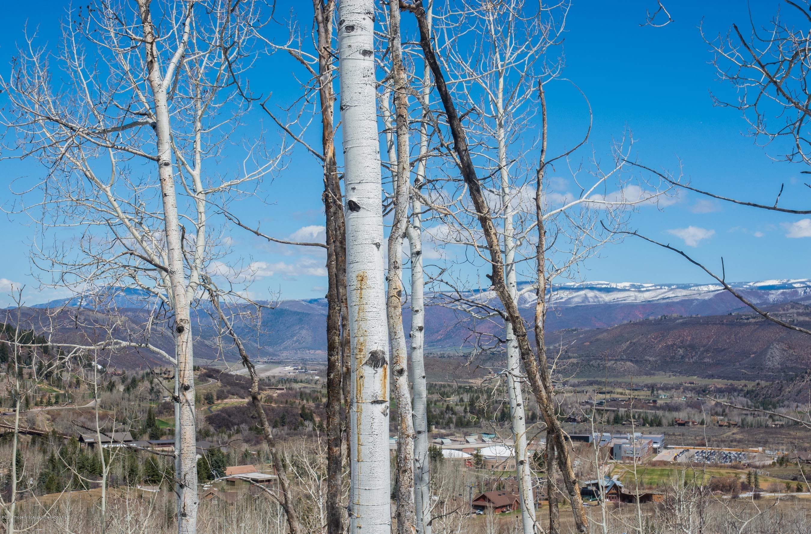 Tbd Powderbowl Trail, Aspen, CO 81611 - Photo 3