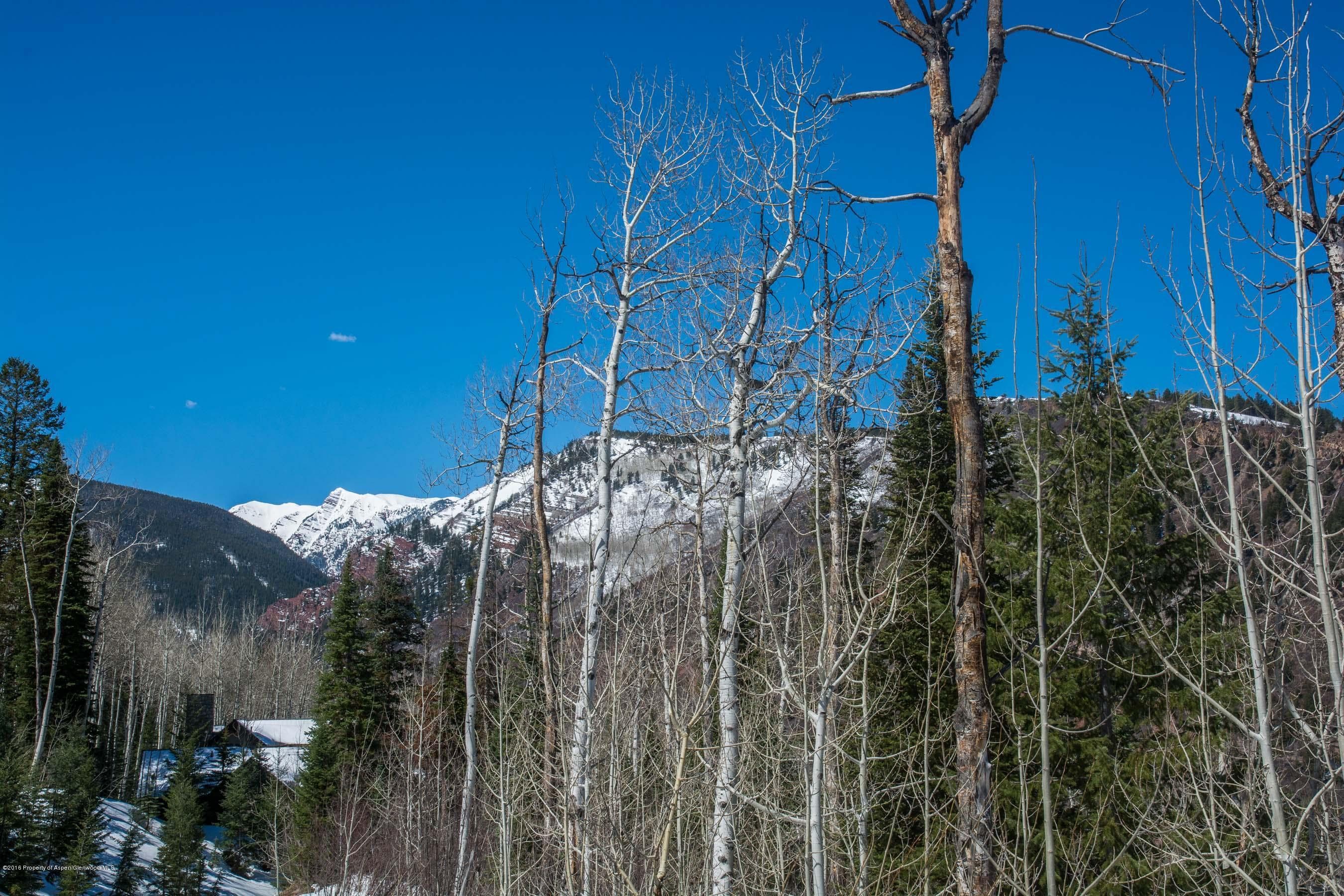 Tbd Powderbowl Trail, Aspen, CO 81611 - Photo 4