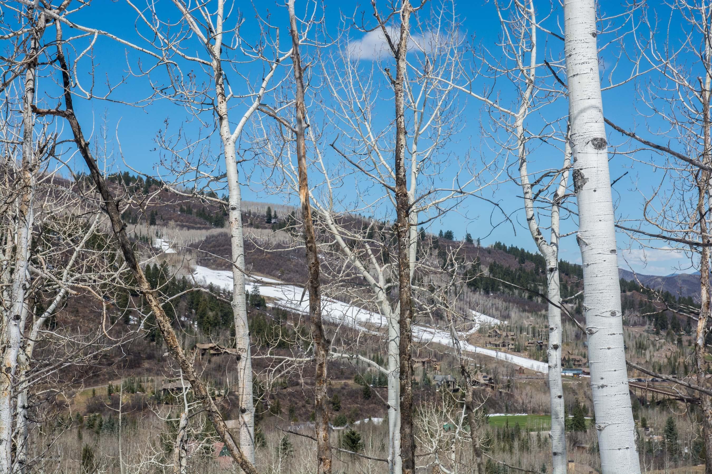 Tbd Powderbowl Trail, Aspen, CO 81611 - Photo 5