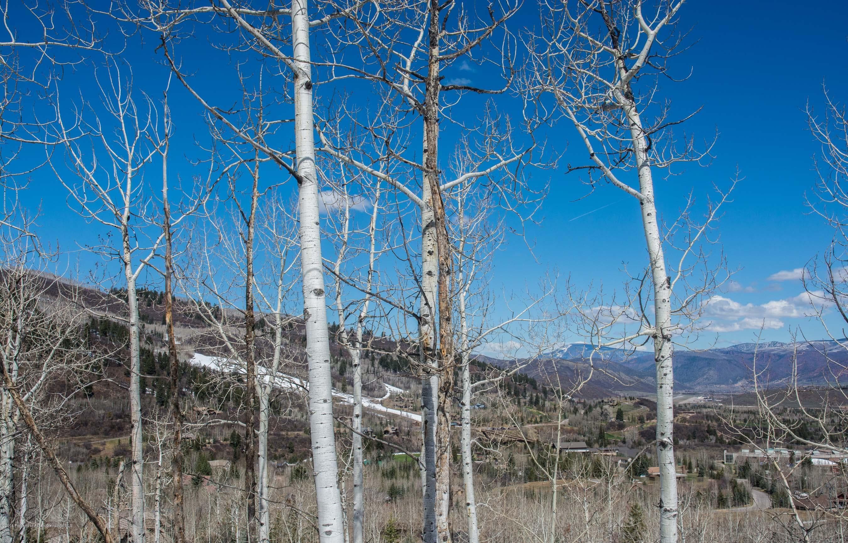 Tbd Powderbowl Trail, Aspen, CO 81611 - Photo 6
