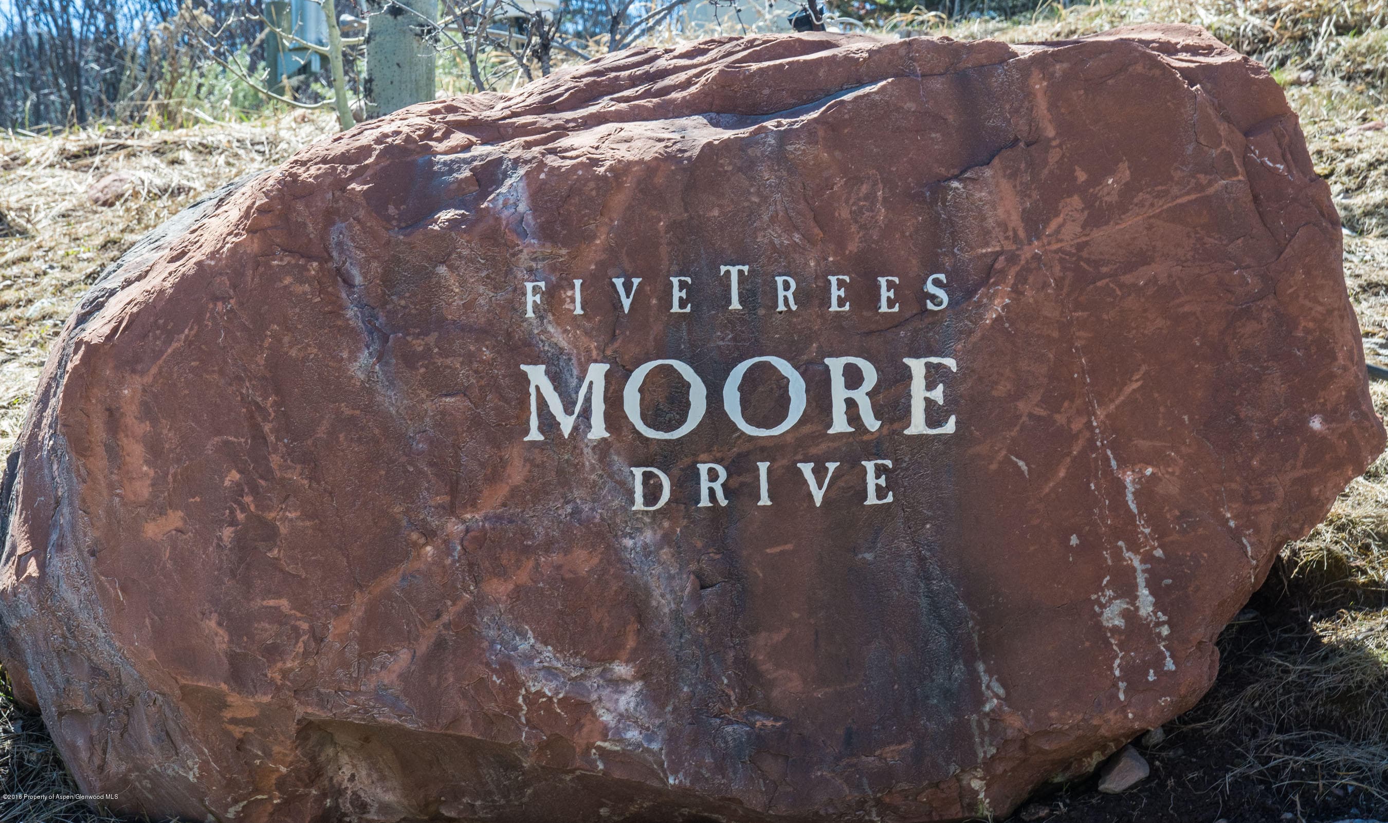 Tbd Powderbowl Trail, Aspen, CO 81611 - Photo 12