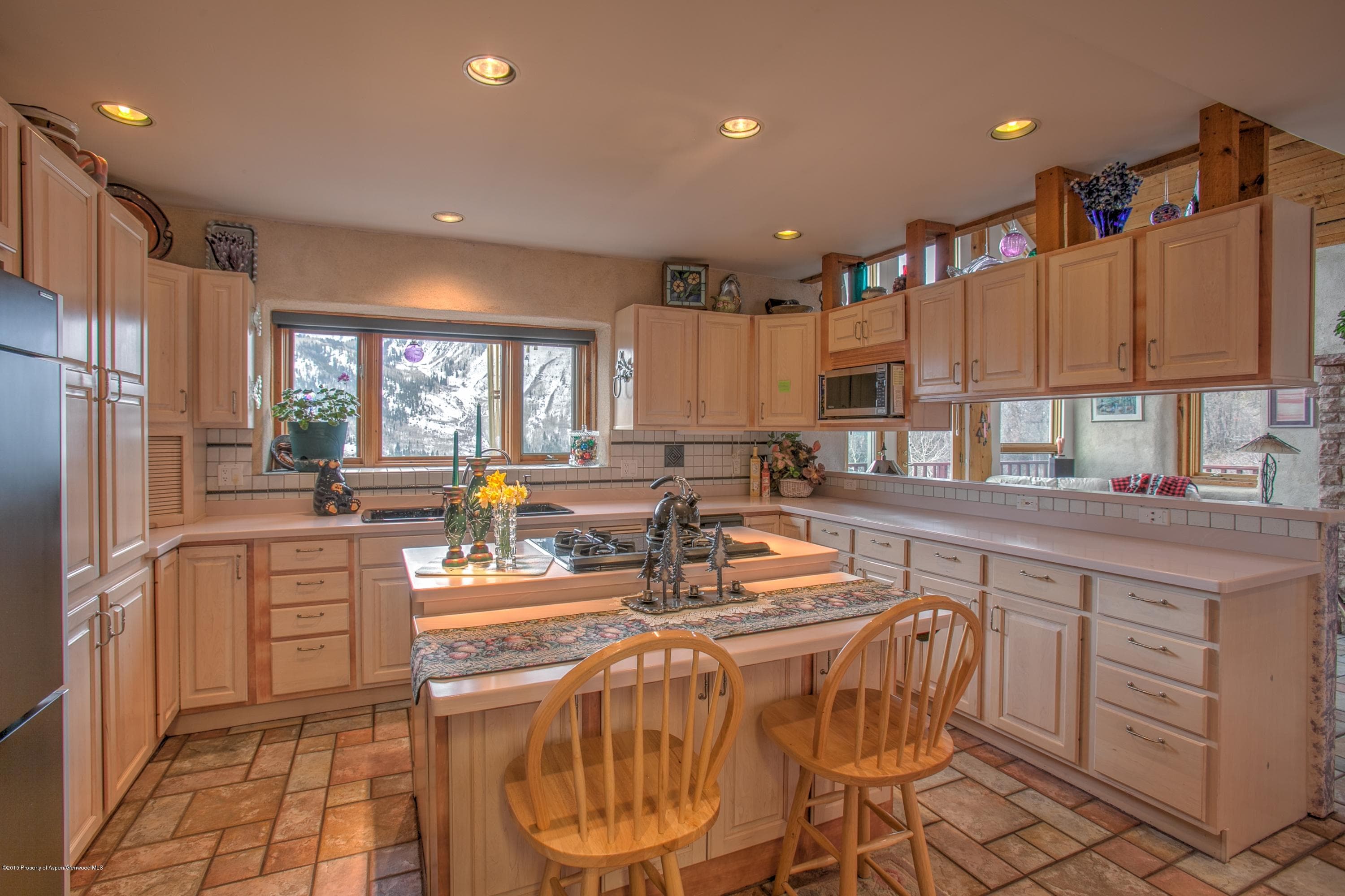1625 Village Drive, Marble, CO 81623 - Photo 9