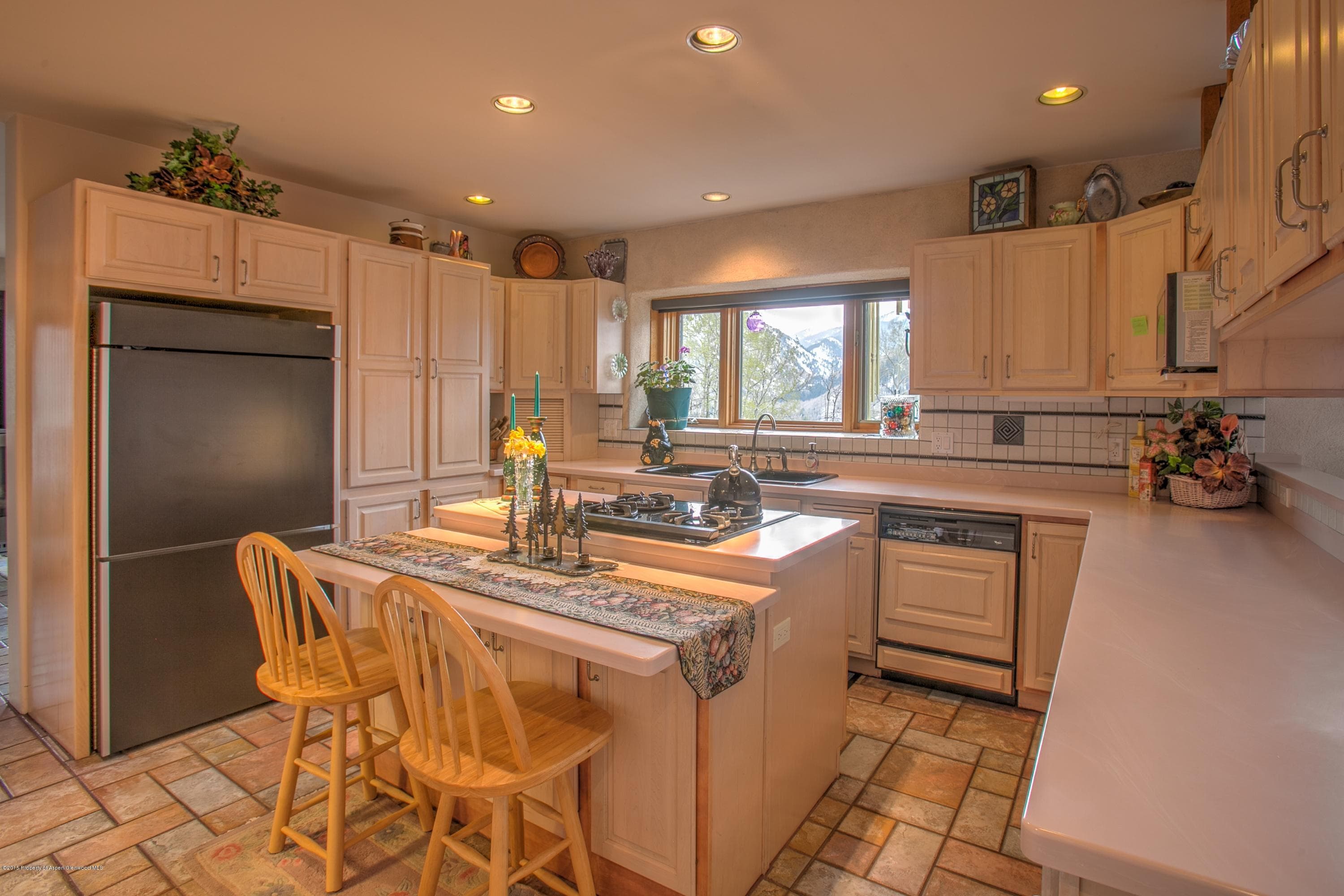 1625 Village Drive, Marble, CO 81623 - Photo 10