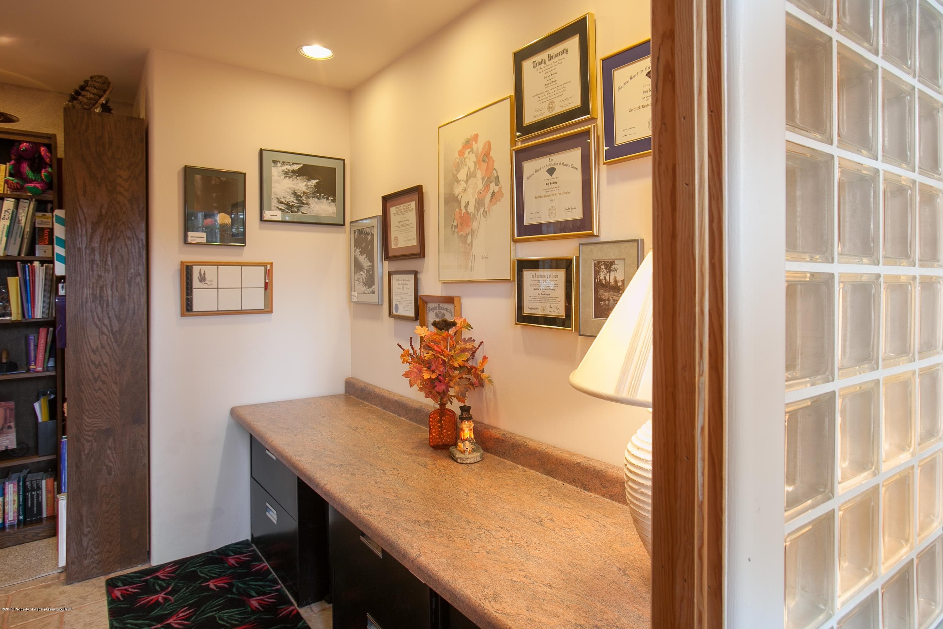 1625 Village Drive, Marble, CO 81623 - Photo 20