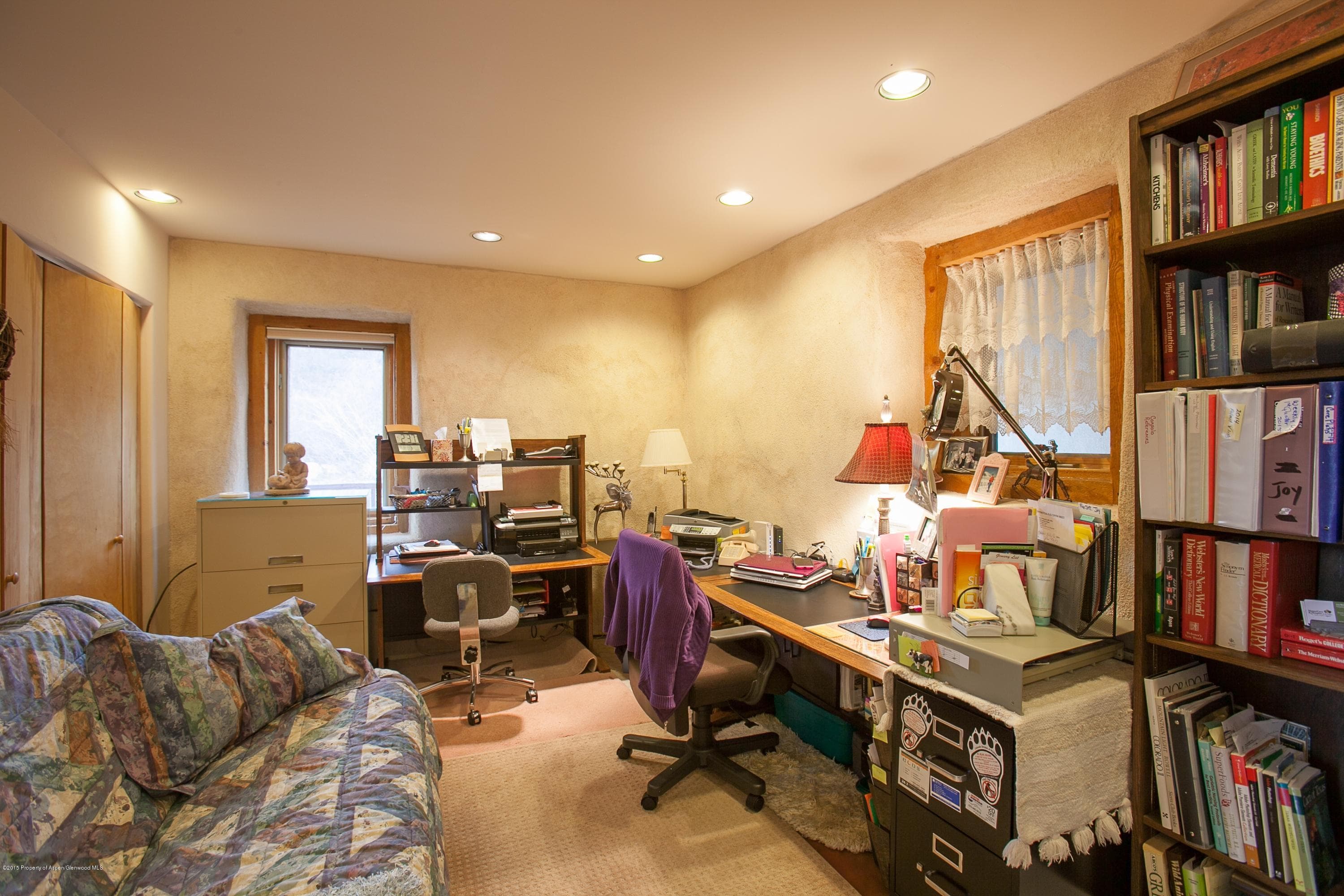 1625 Village Drive, Marble, CO 81623 - Photo 15