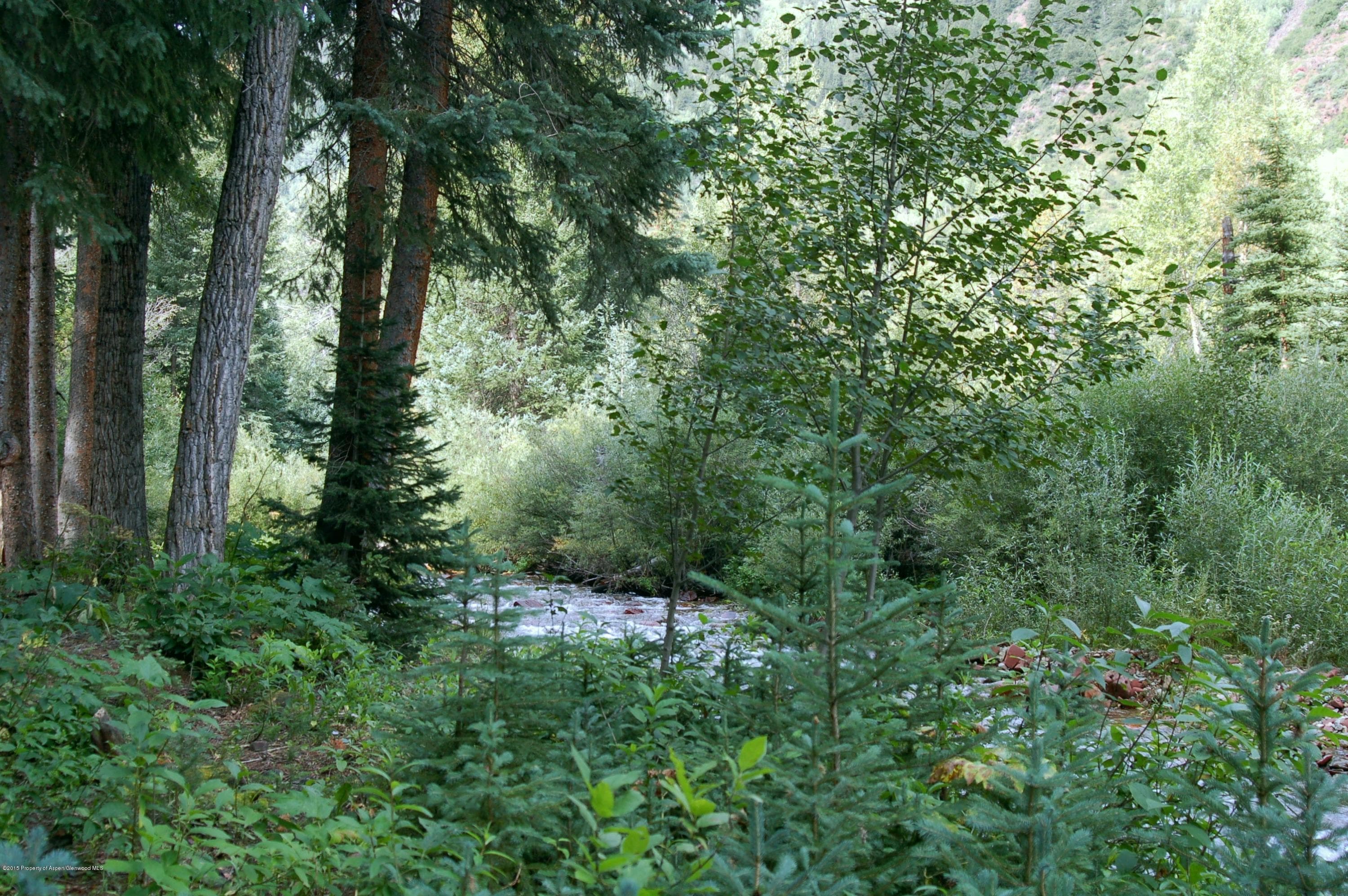 761 Conundrum, Aspen, CO 81611 - Photo 3