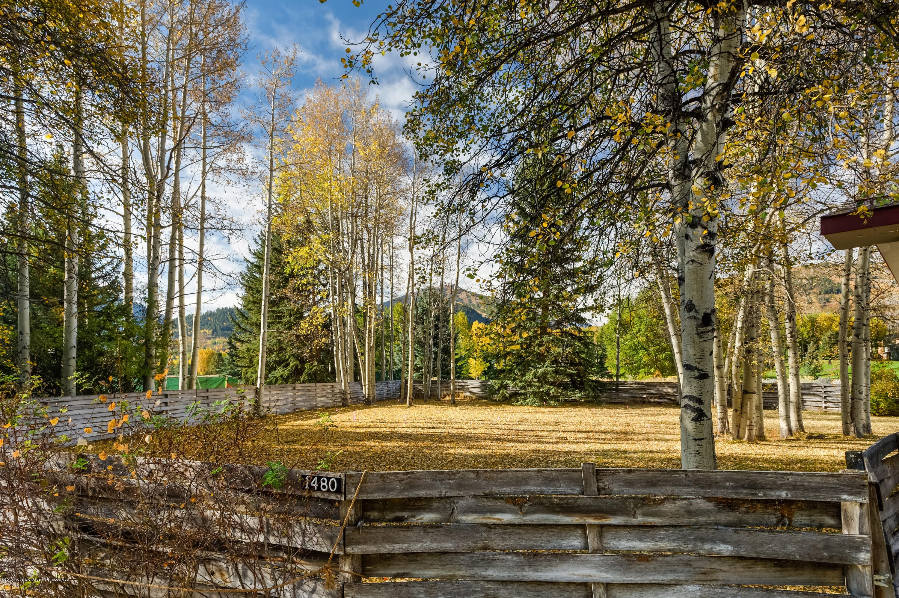 1481 Sierra Vista Drive, Aspen, CO 81611 - Photo 74
