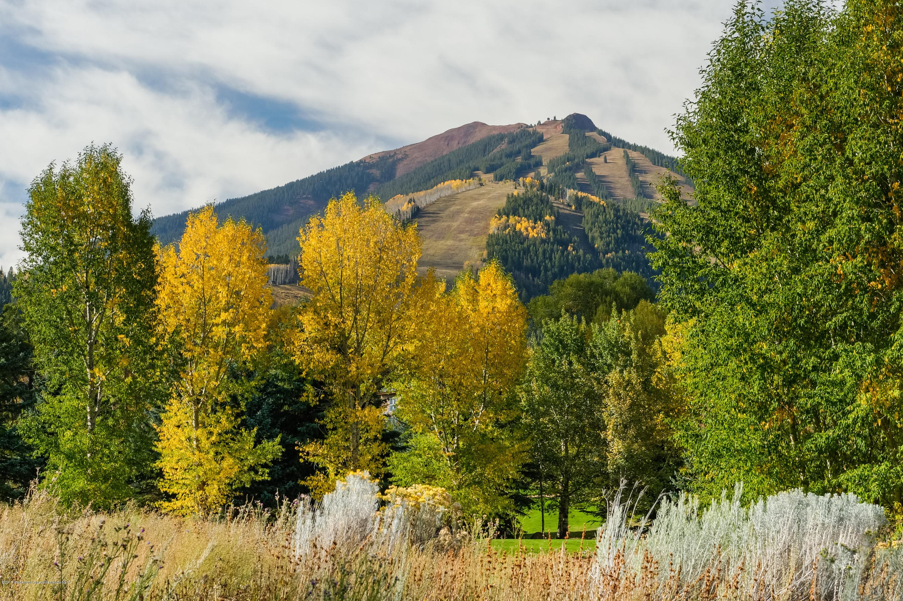 1481 Sierra Vista Drive, Aspen, CO 81611 - Photo 56