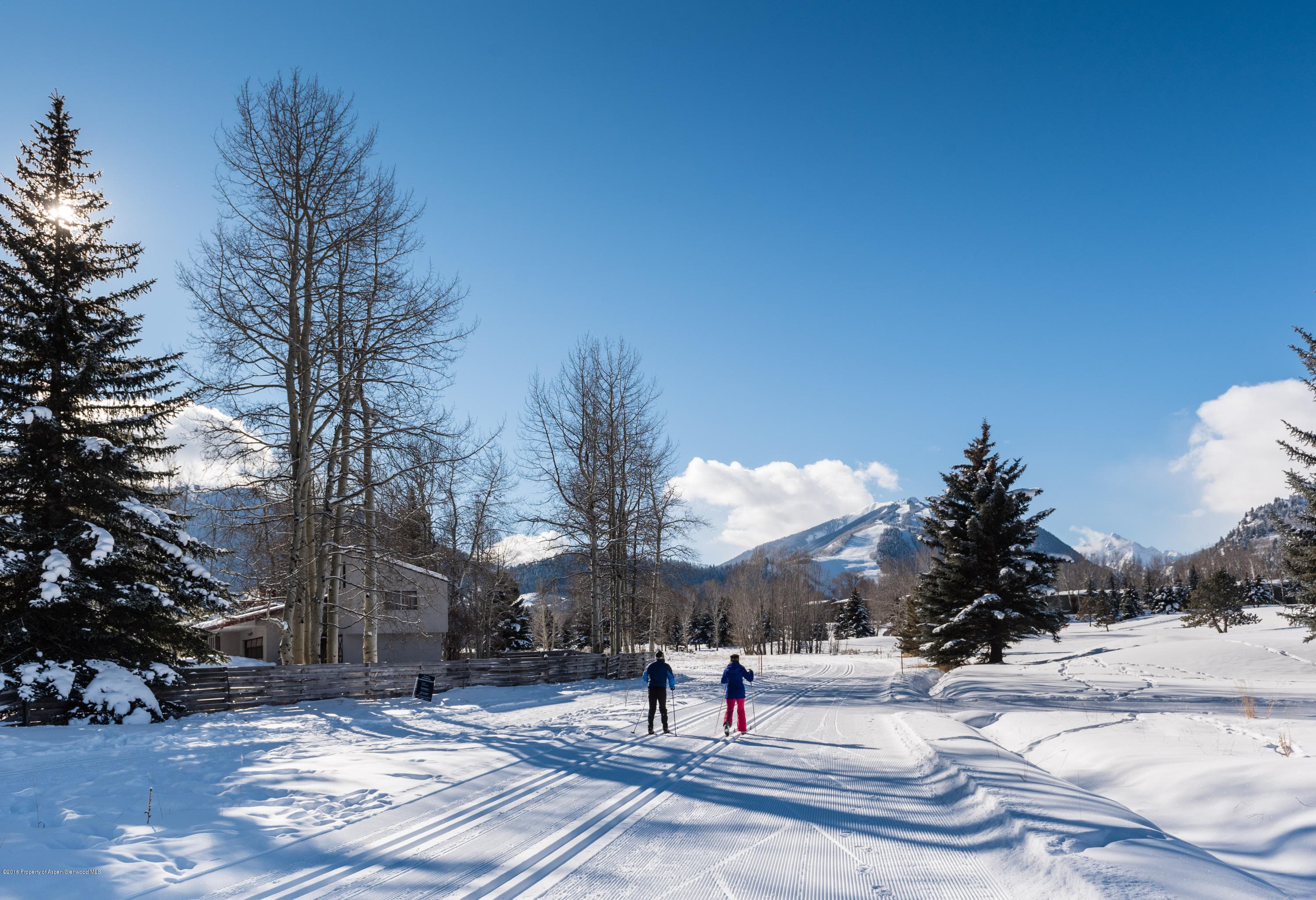 1481 Sierra Vista Drive, Aspen, CO 81611 - Photo 93