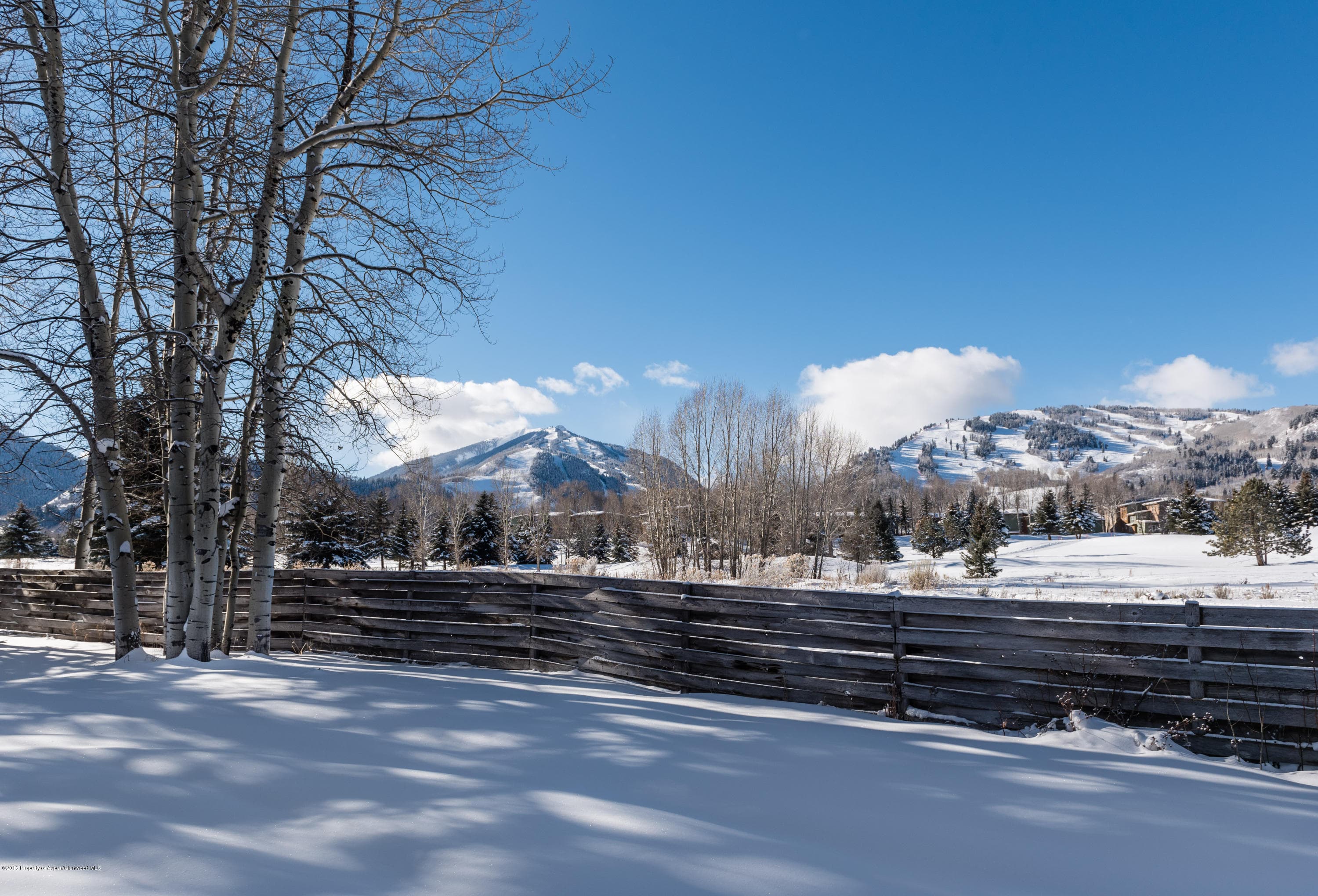 1481 Sierra Vista Drive, Aspen, CO 81611 - Photo 94