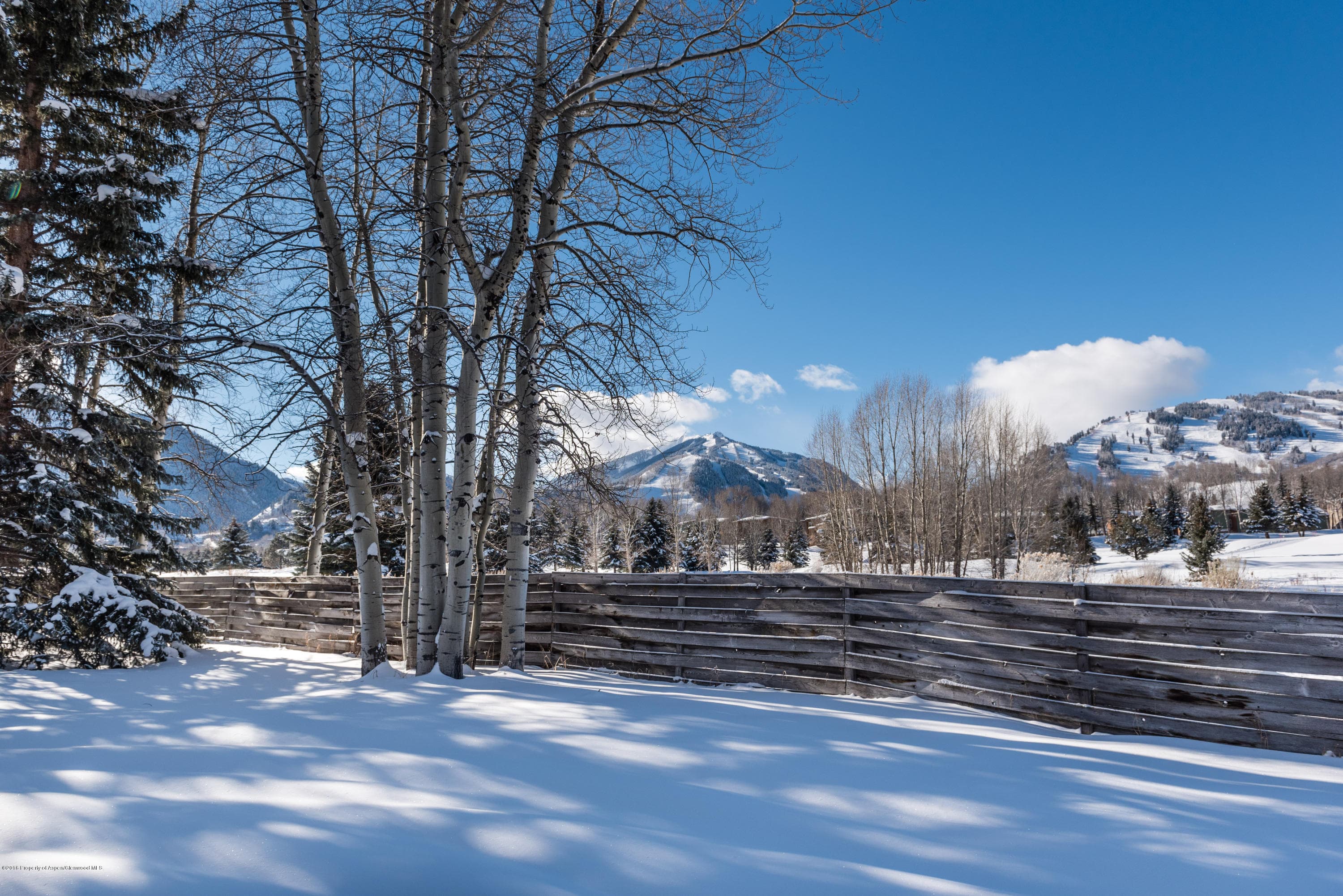 1481 Sierra Vista Drive, Aspen, CO 81611 - Photo 59