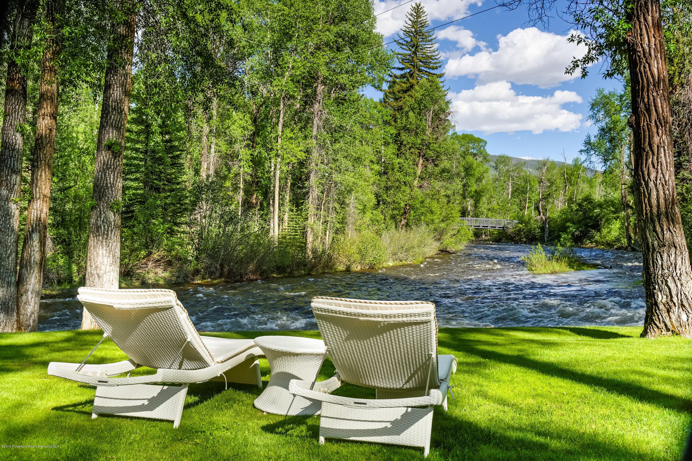1130 Black Birch Drive - Photo 3