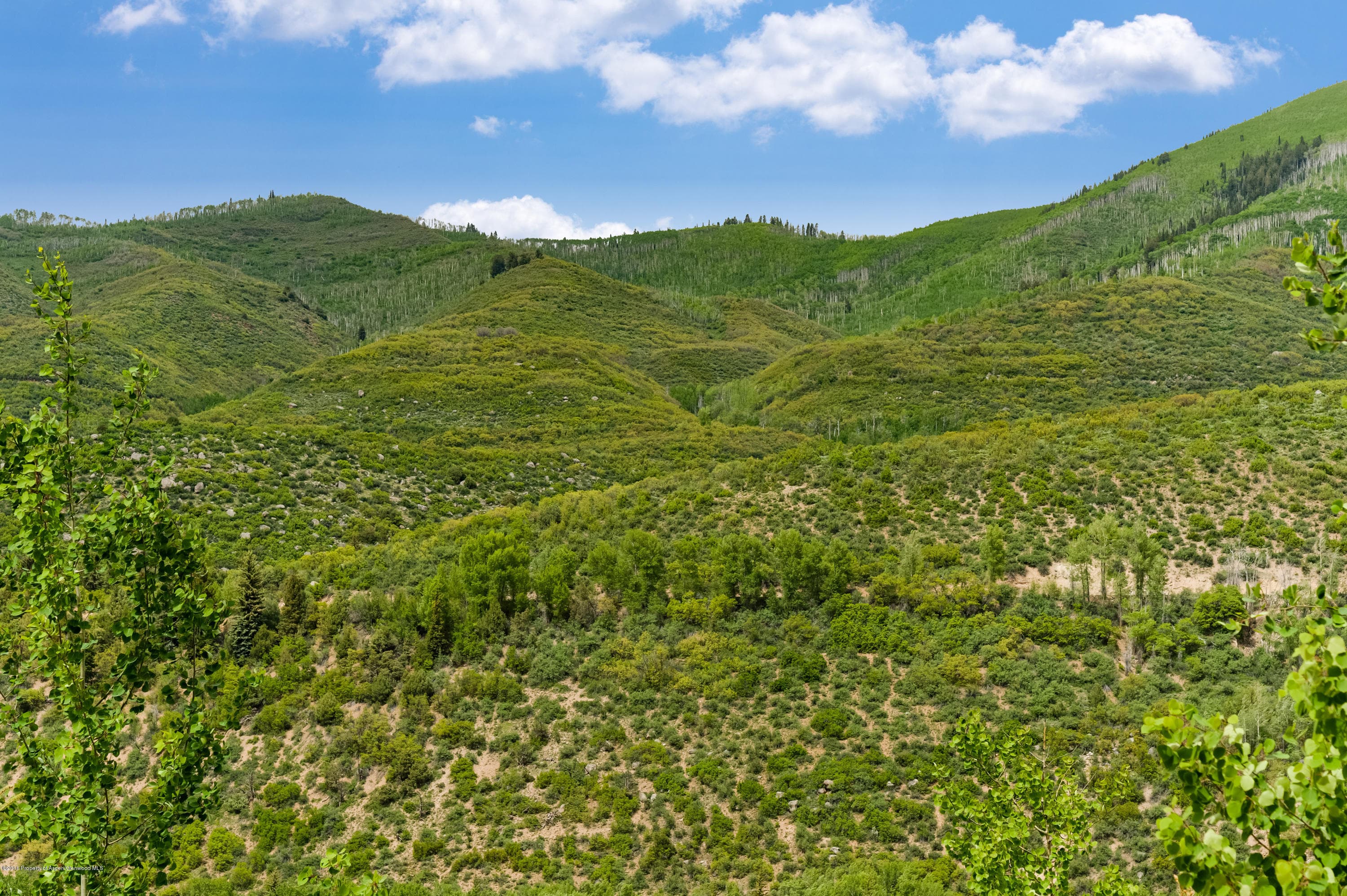 1095 Cemetery, Aspen, CO 81611 - Photo 15