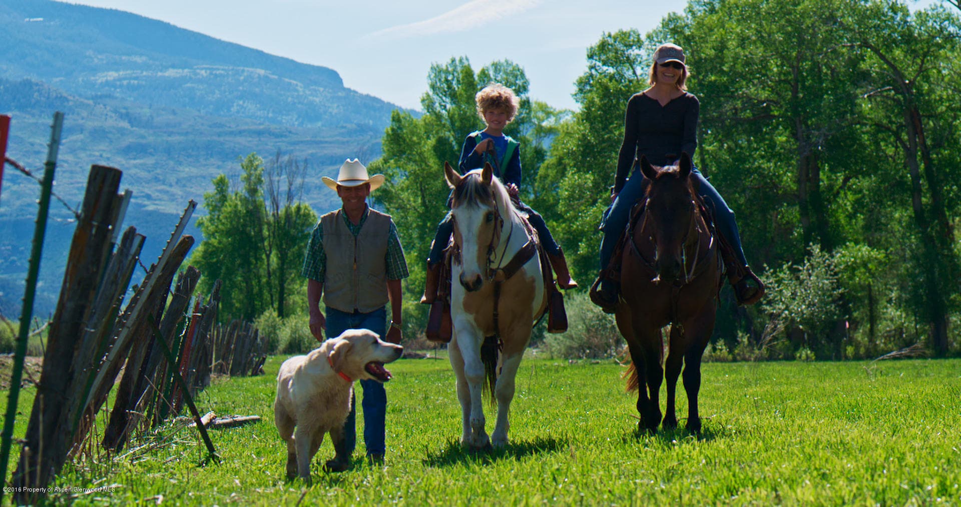 16411 Old Hwy 82, Carbondale, CO 81623 - Photo 4