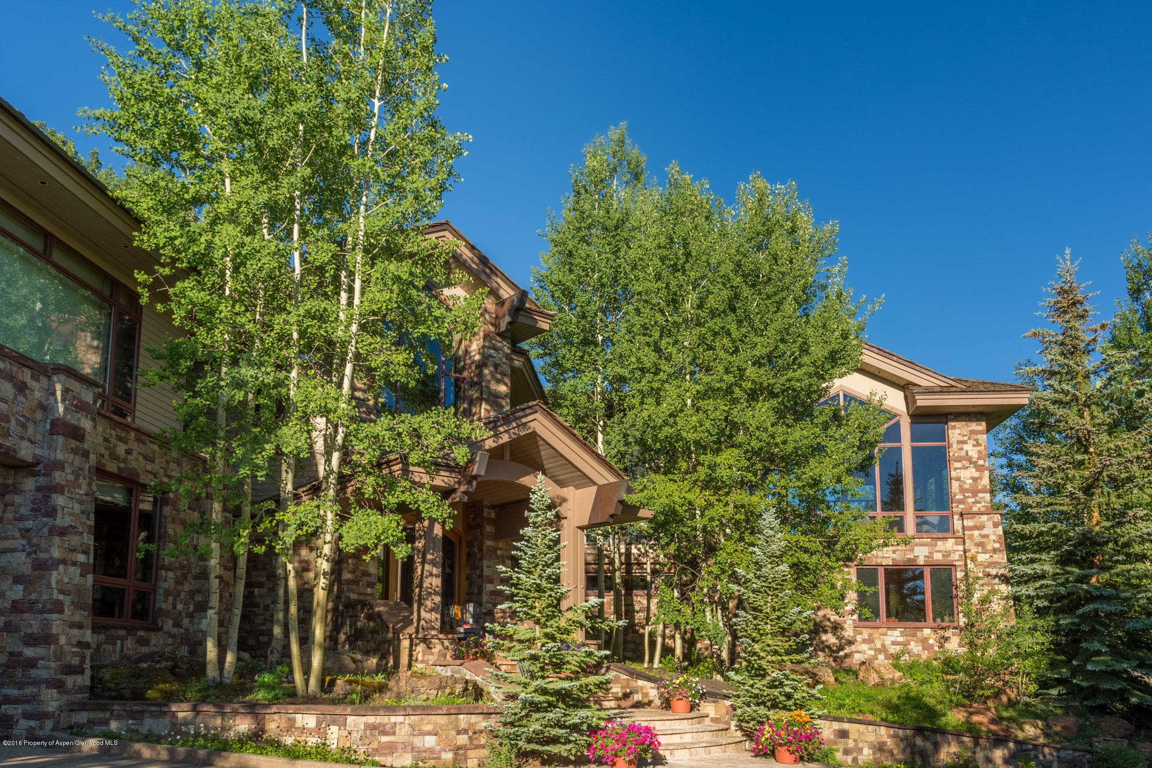 530 Divide Drive, Snowmass Village, CO 81615 - Photo 3