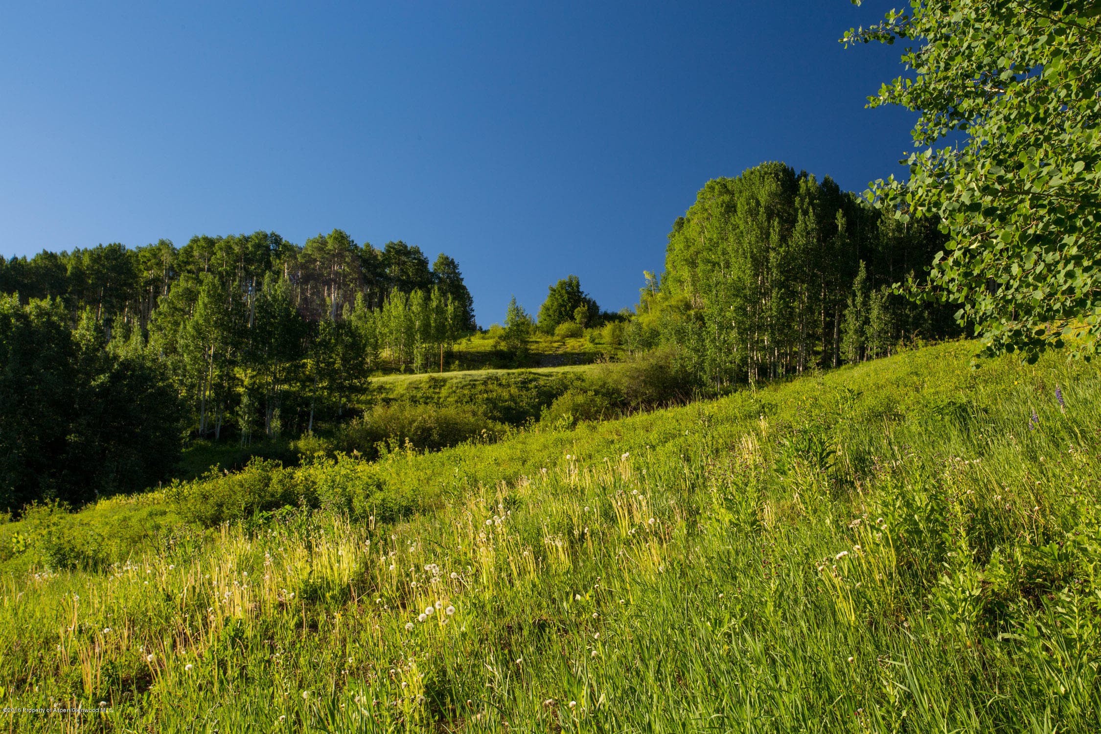 530 Divide Drive, Snowmass Village, CO 81615 - Photo 31