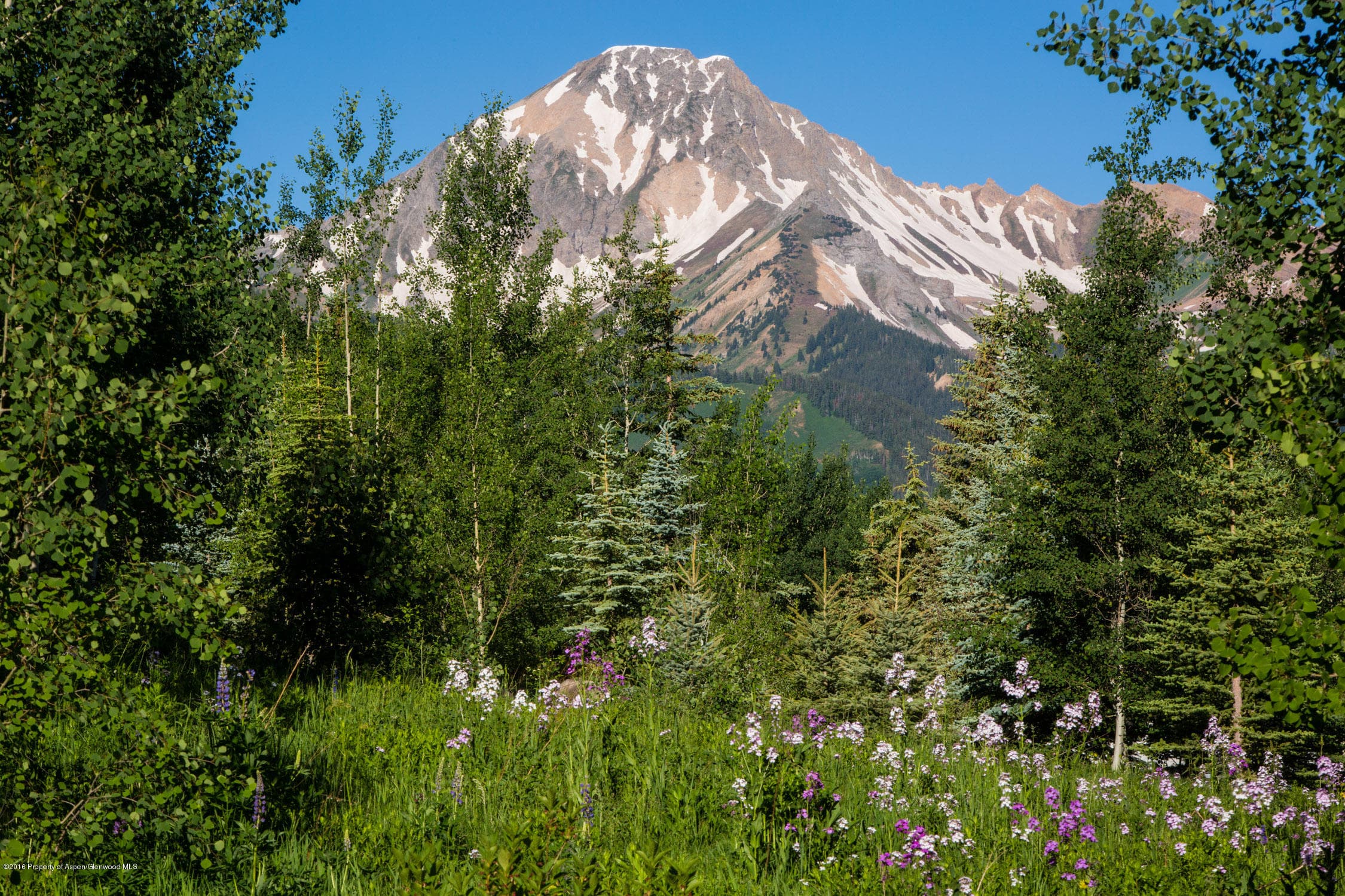530 Divide Drive, Snowmass Village, CO 81615 - Photo 7