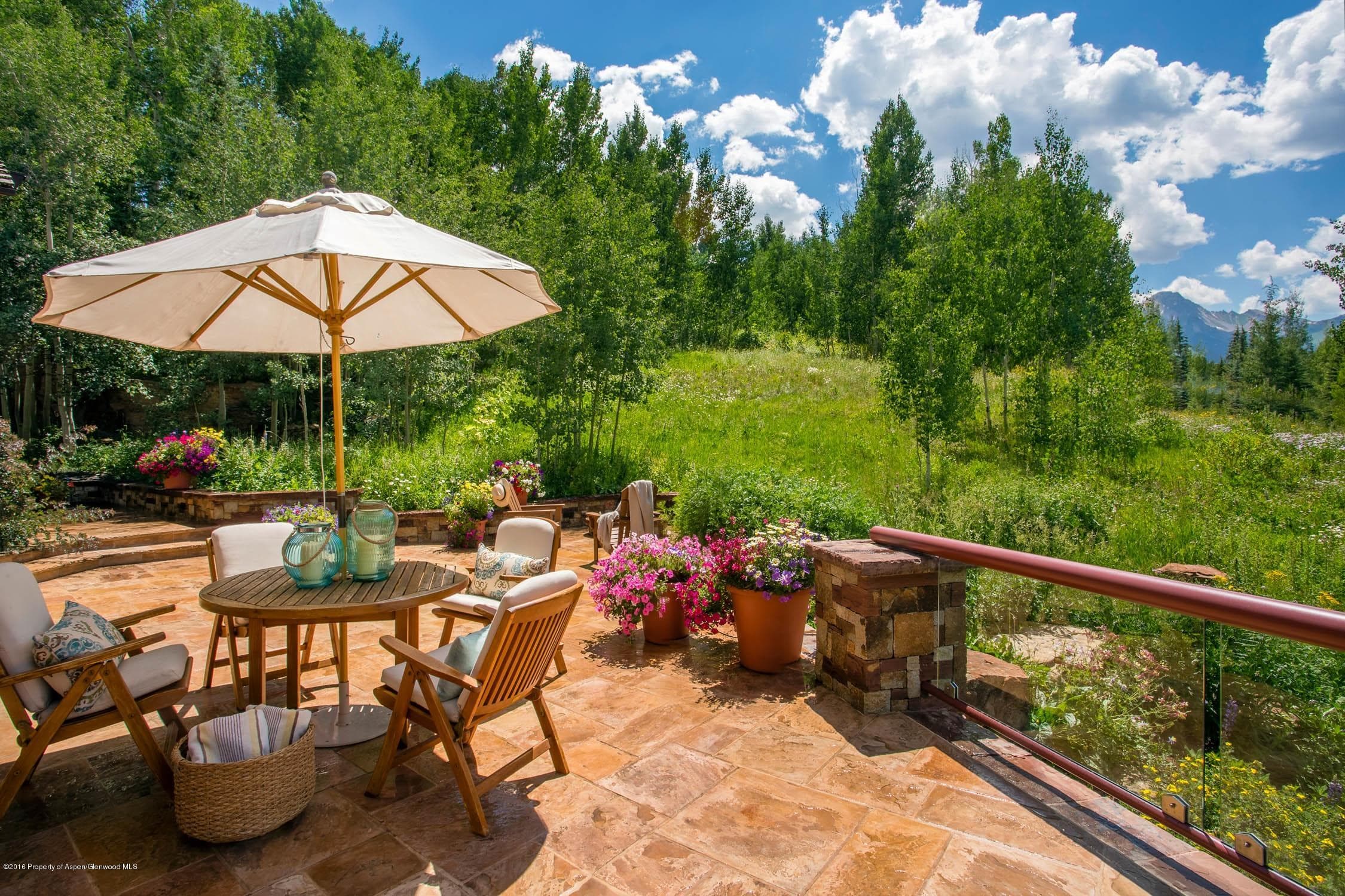 530 Divide Drive, Snowmass Village, CO 81615 - Photo 24