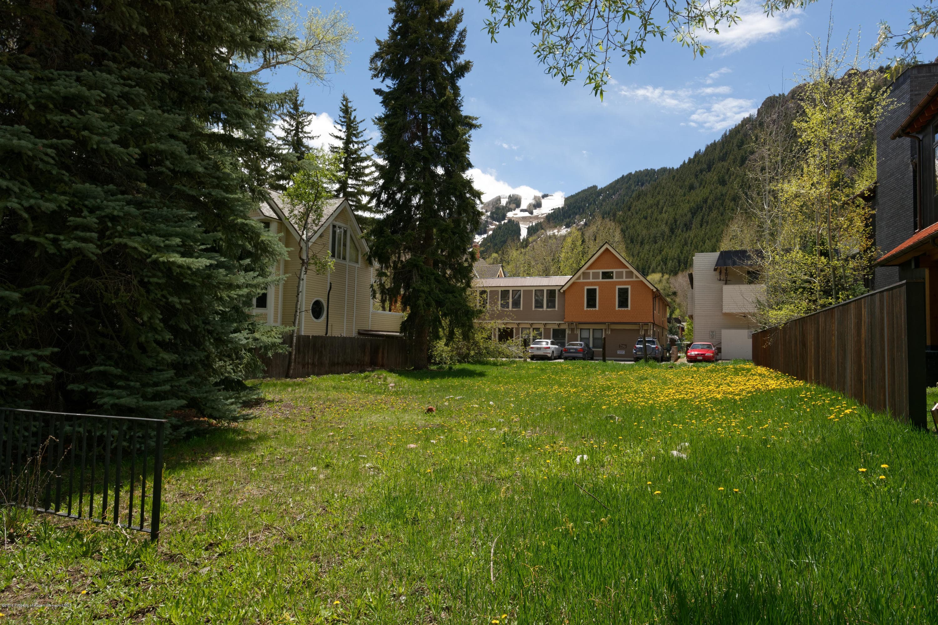 433 W Bleeker Street, Aspen, CO 81611 - Photo 3