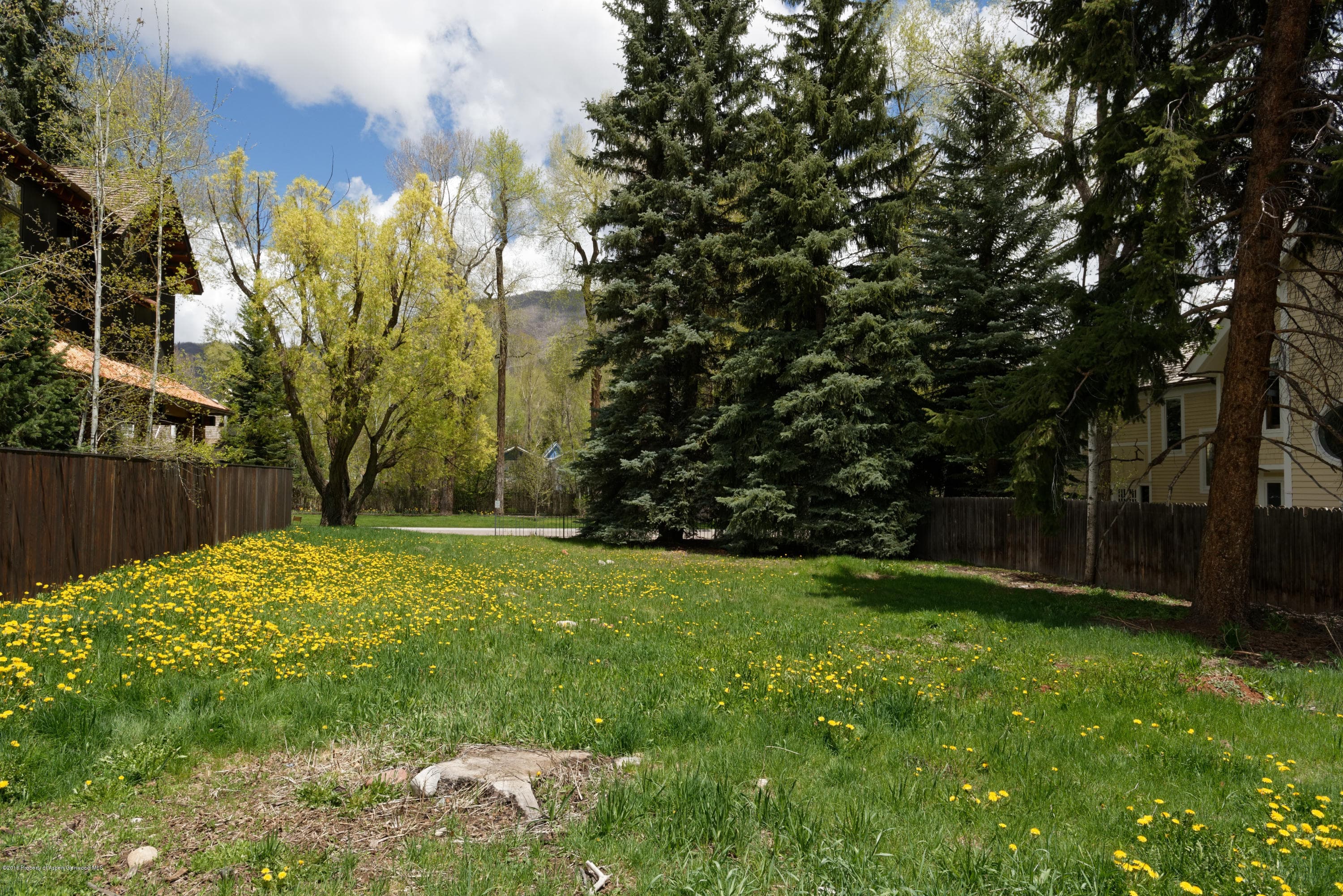 433 W Bleeker Street, Aspen, CO 81611 - Photo 4