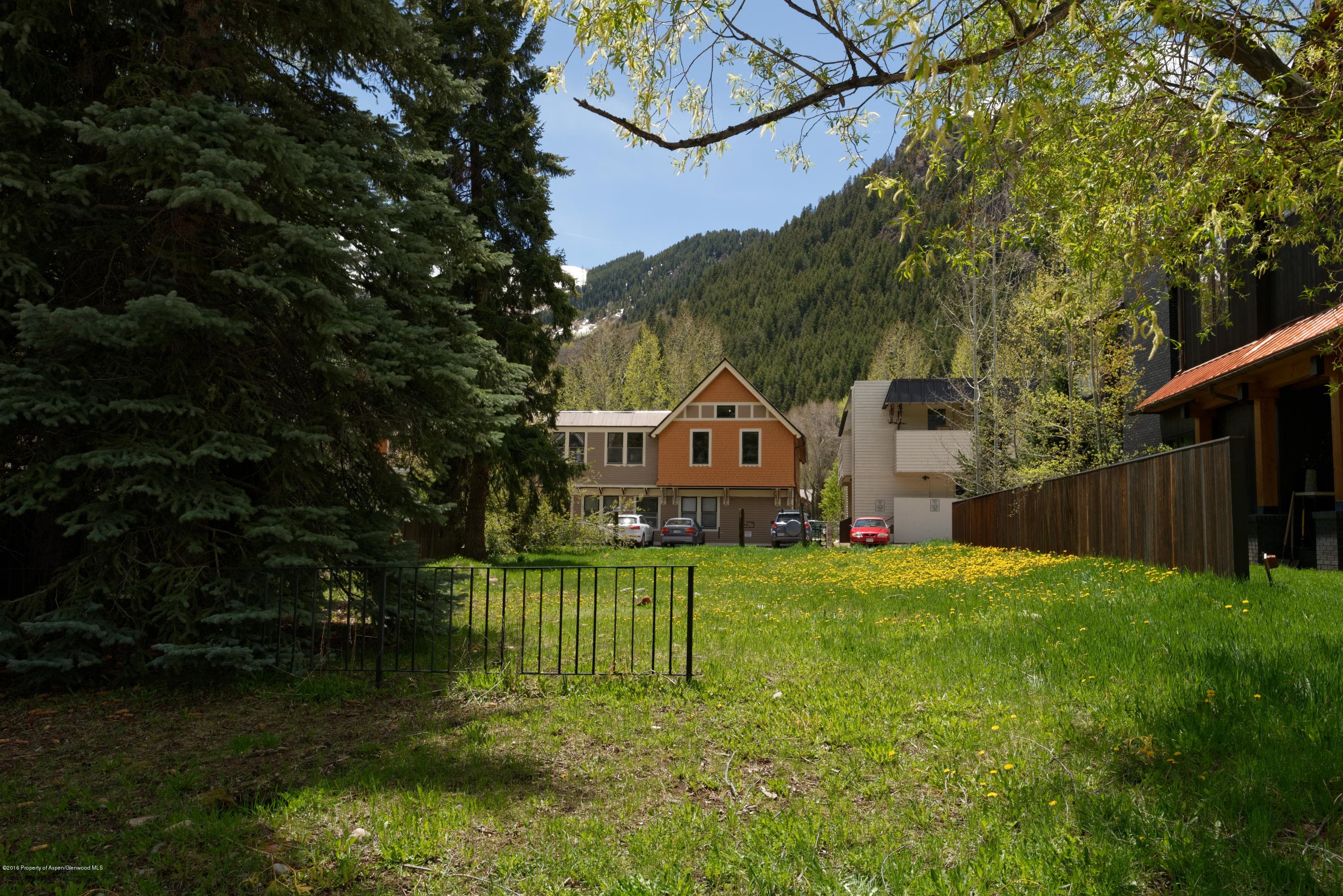 433 W Bleeker Street, Aspen, CO 81611 - Photo 5