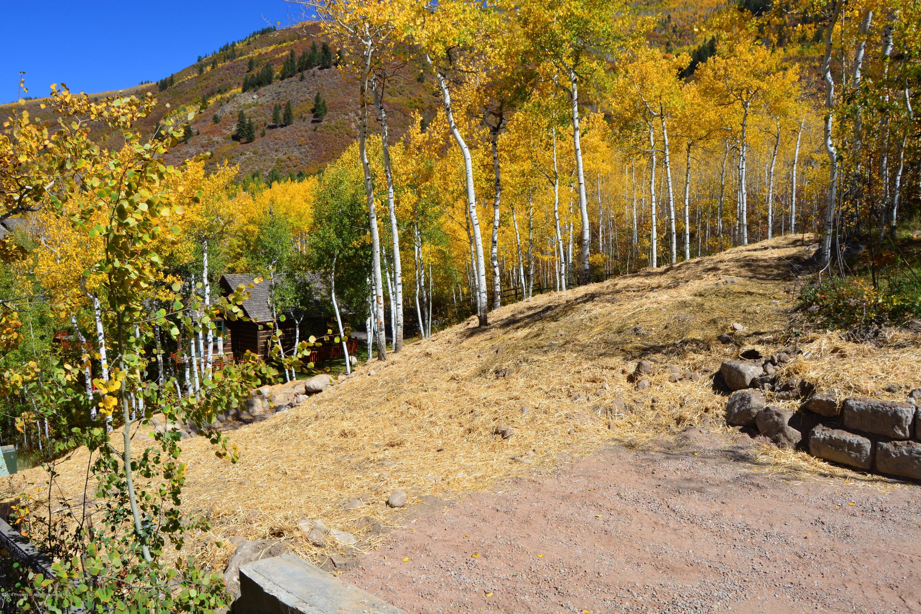310 Eastwood Drive, Aspen, CO 81611 - Photo 4