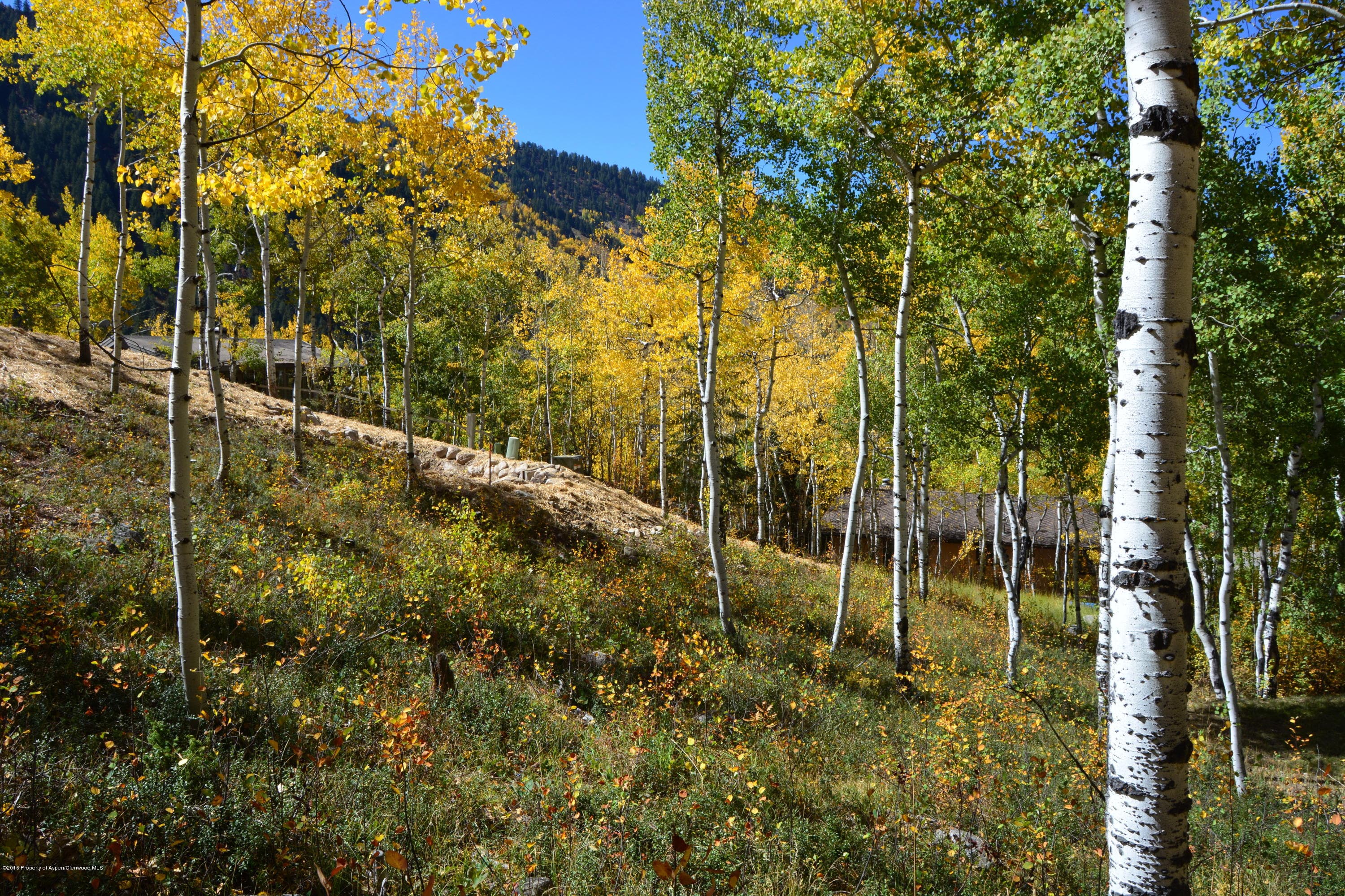 310 Eastwood Drive, Aspen, CO 81611 - Photo 6