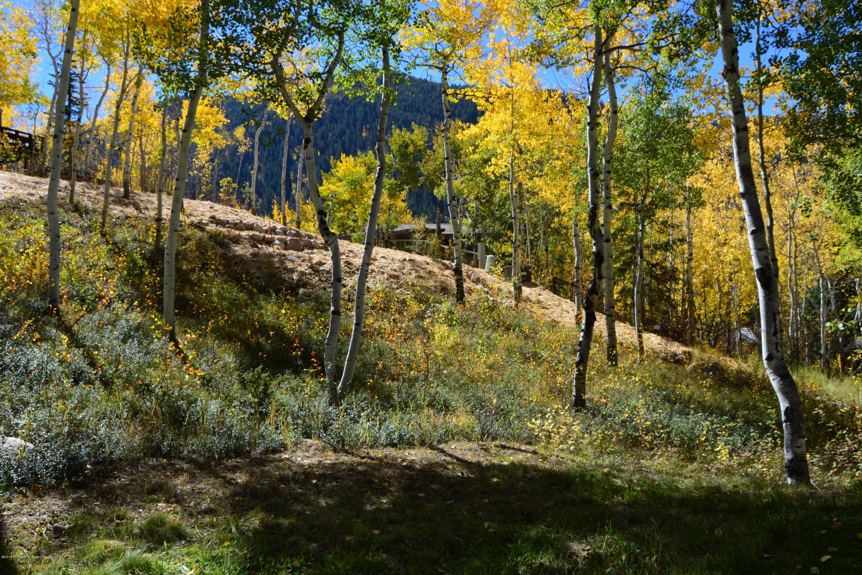 310 Eastwood Drive, Aspen, CO 81611 - Photo 7