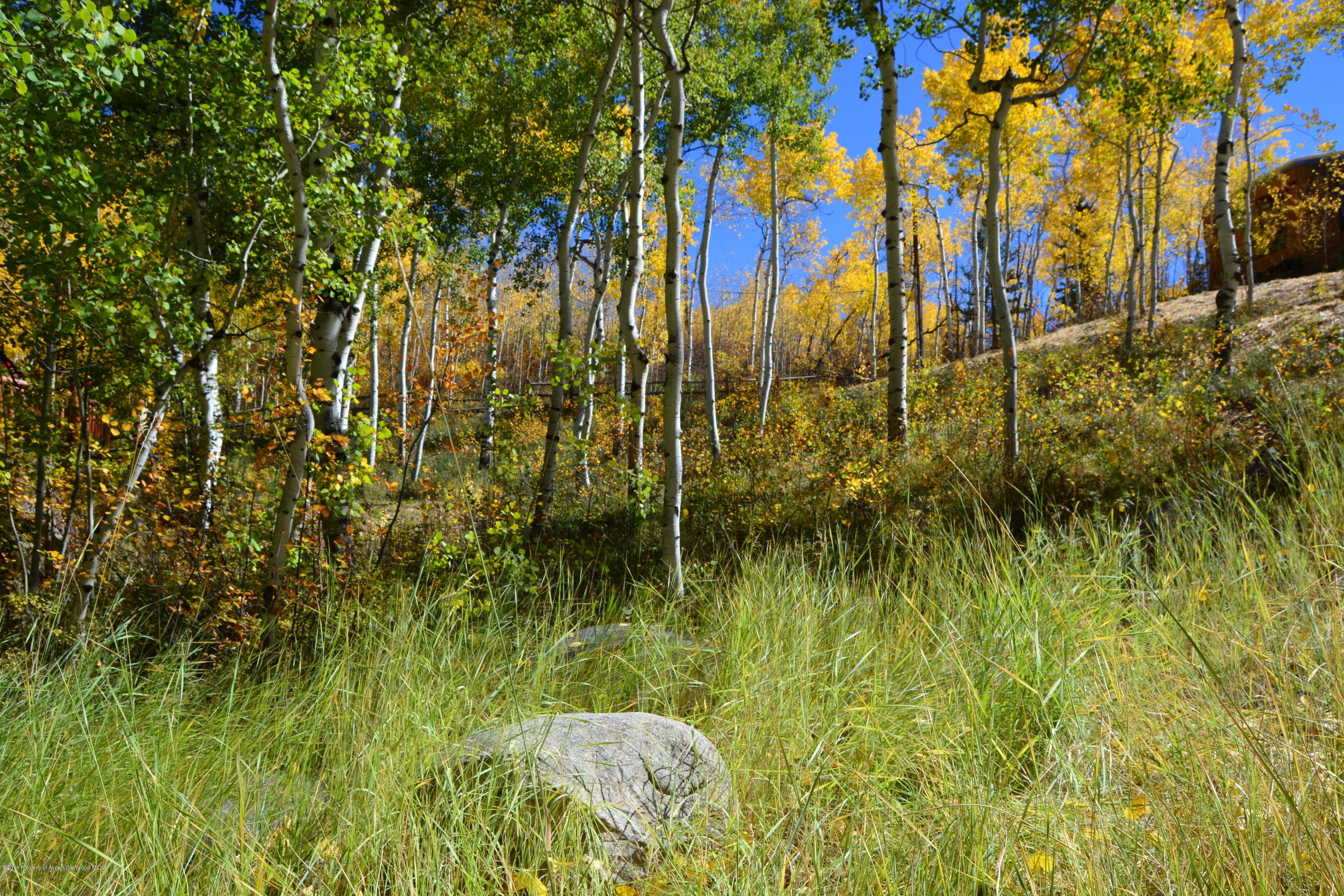 310 Eastwood Drive, Aspen, CO 81611 - Photo 8
