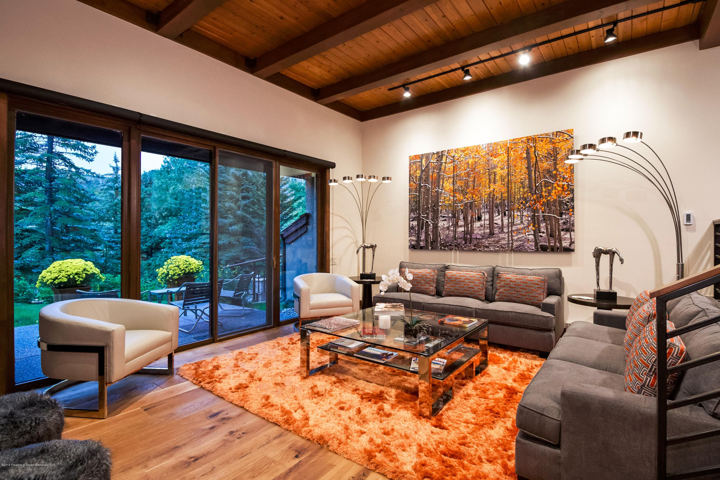 800 Ridge Road #10, Snowmass Village, CO 81615 - Photo 9