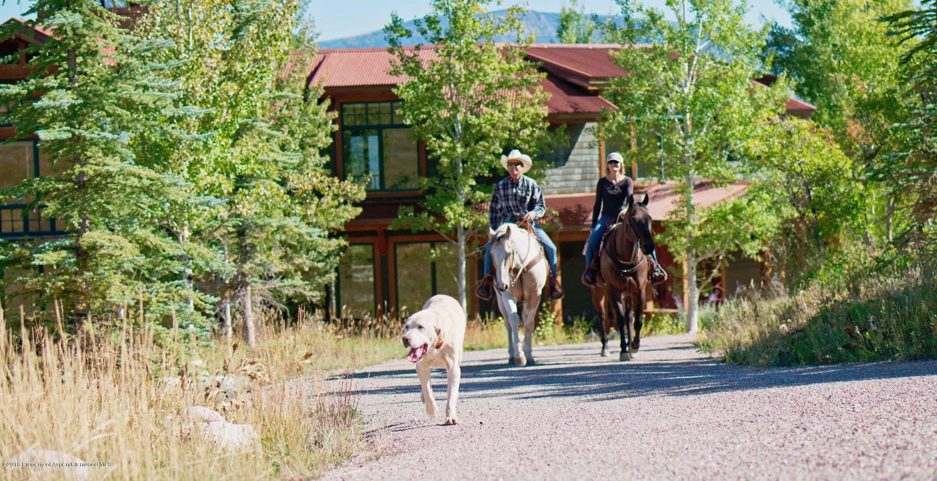 0016 Sage Rim Circle - Photo 8