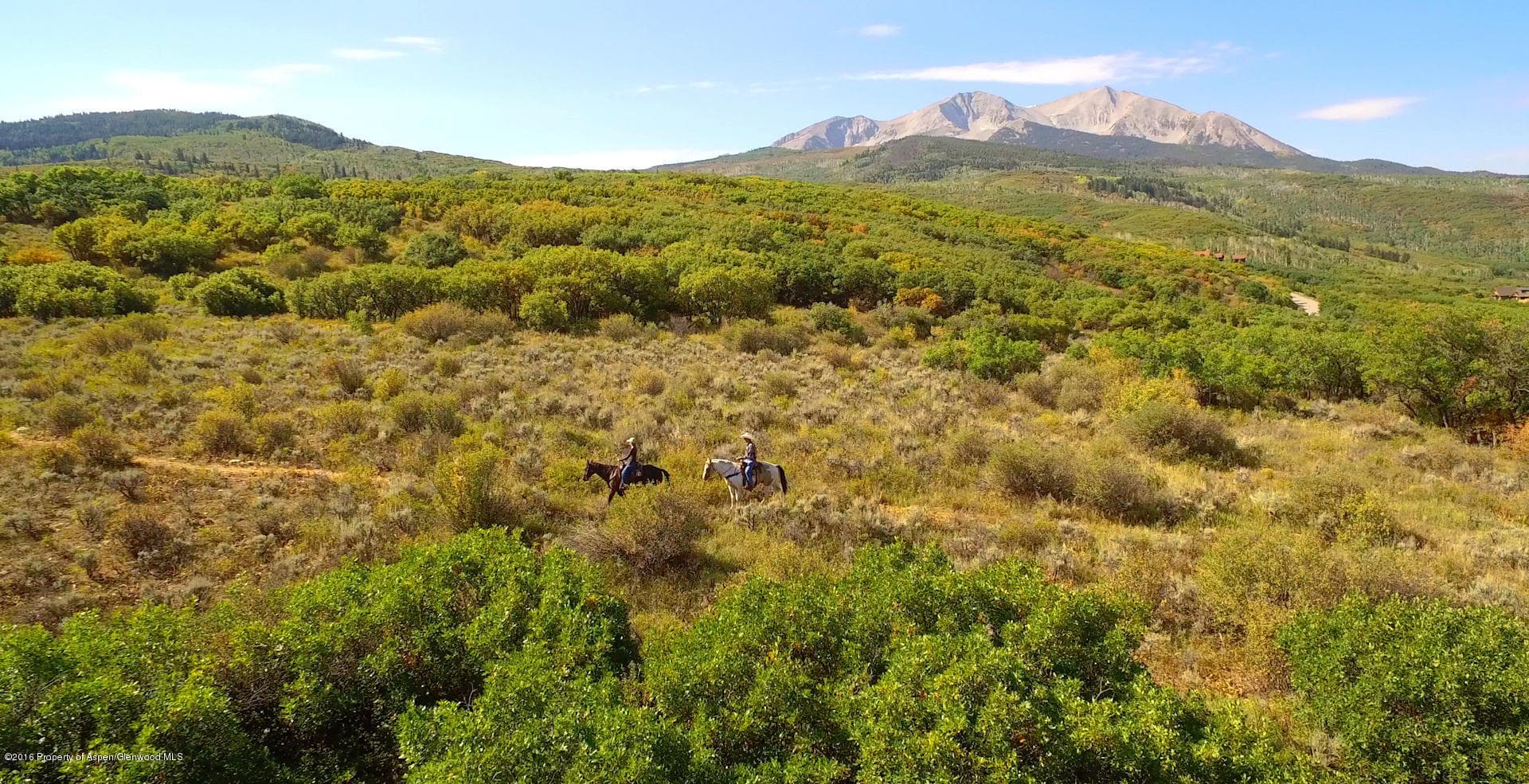 0016 Sage Rim Circle - Photo 10