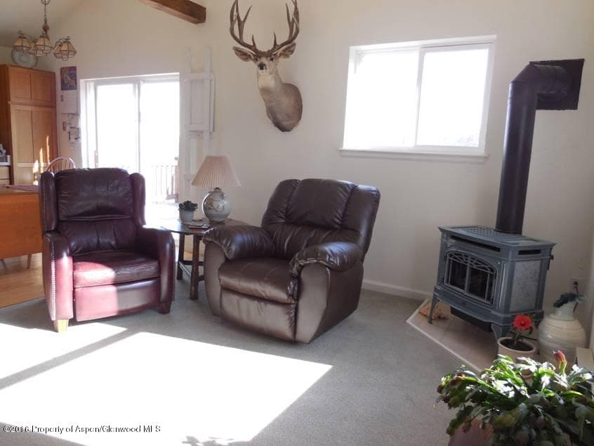 220 S Marsh Ln., Glenwood Springs, CO 81601 - Photo 8