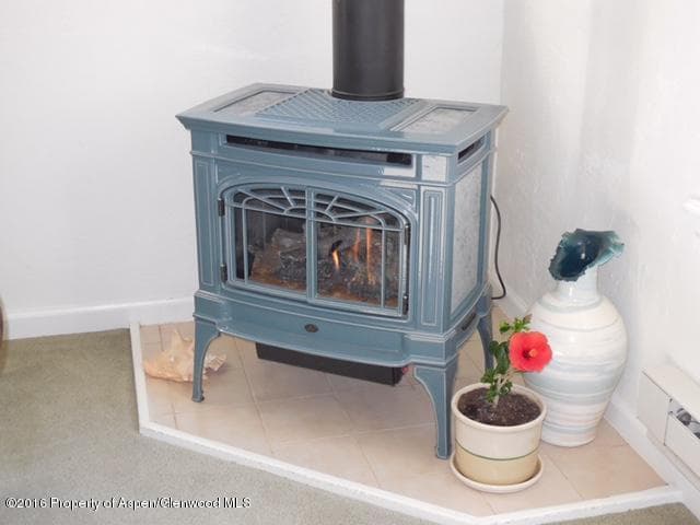 220 S Marsh Ln., Glenwood Springs, CO 81601 - Photo 9