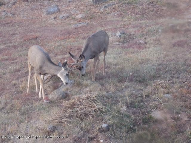 220 S Marsh Ln., Glenwood Springs, CO 81601 - Photo 26