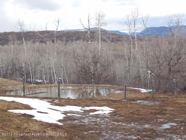 220 S Marsh Ln., Glenwood Springs, CO 81601 - Photo 38