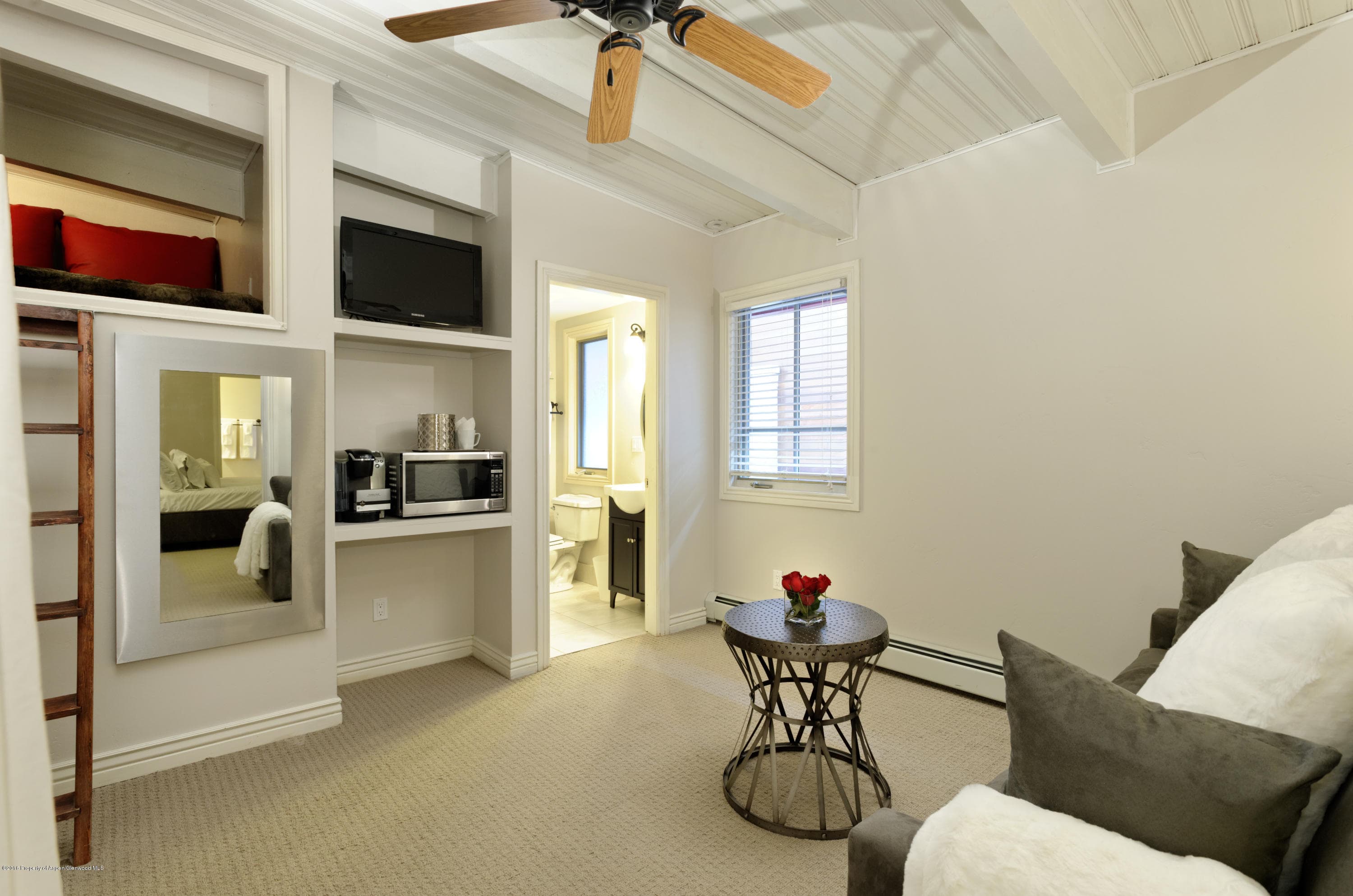 118 E Cooper Avenue, Aspen, CO 81611 - Photo 11