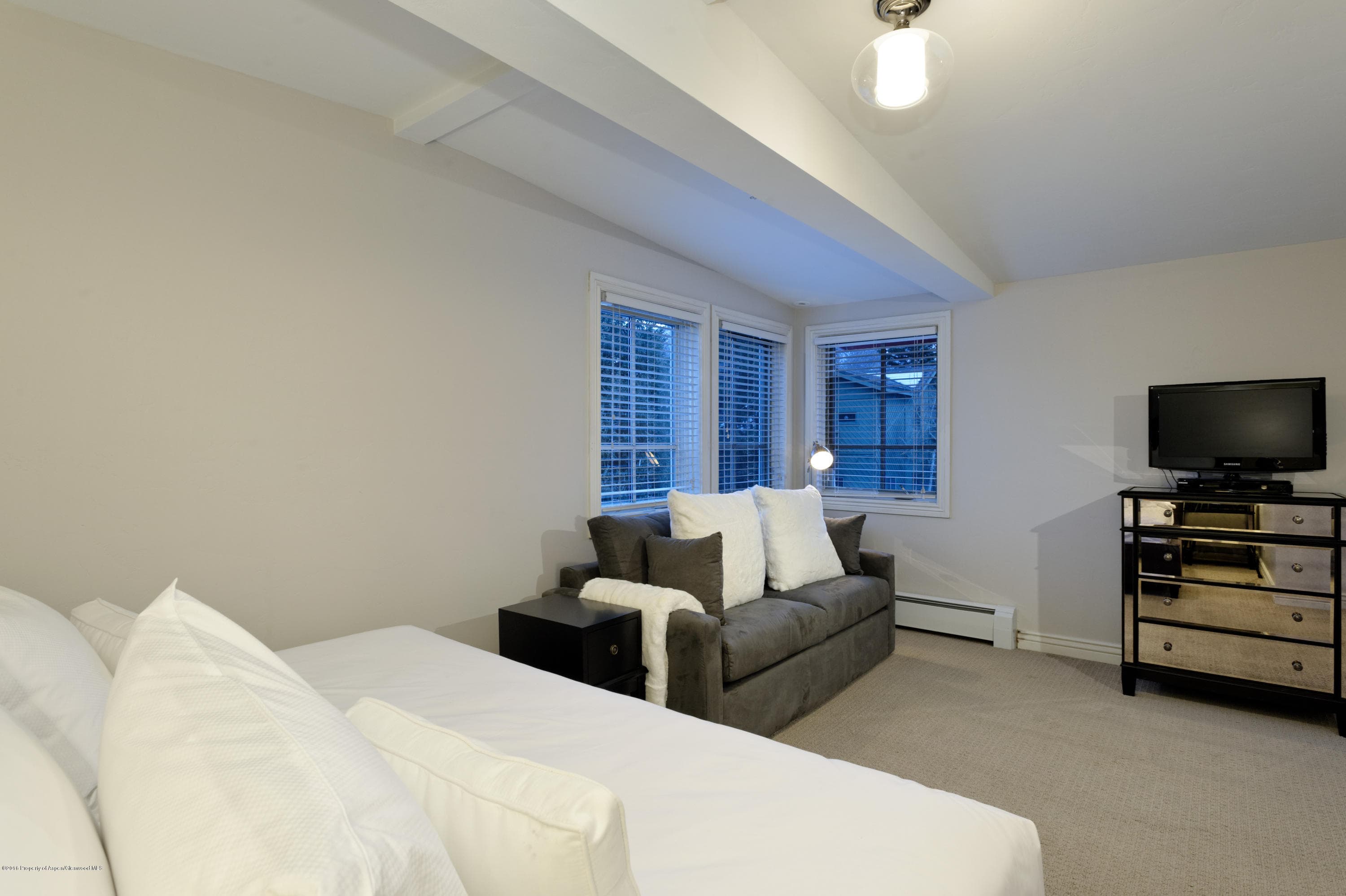 118 E Cooper Avenue, Aspen, CO 81611 - Photo 16