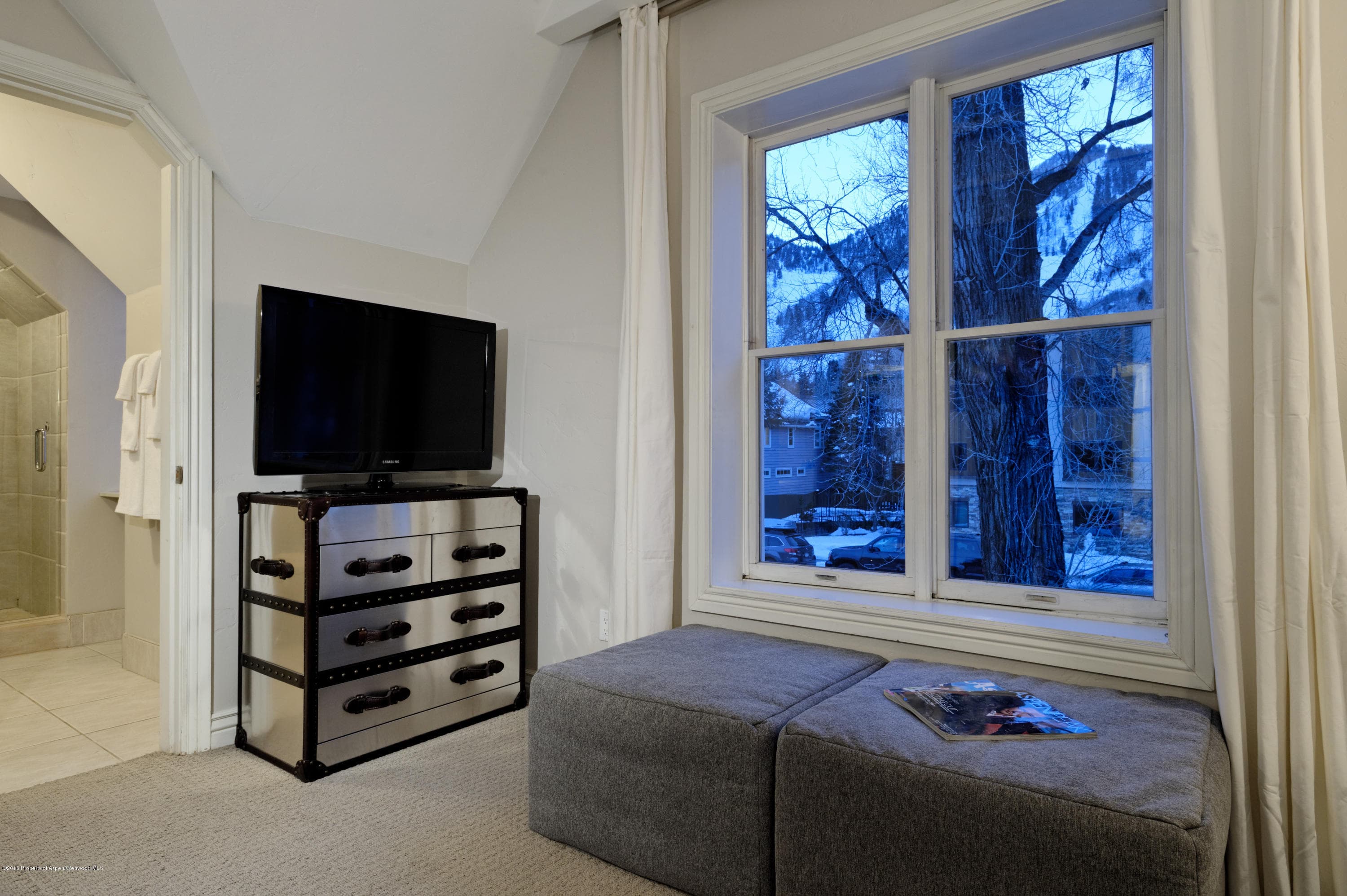 118 E Cooper Avenue, Aspen, CO 81611 - Photo 18