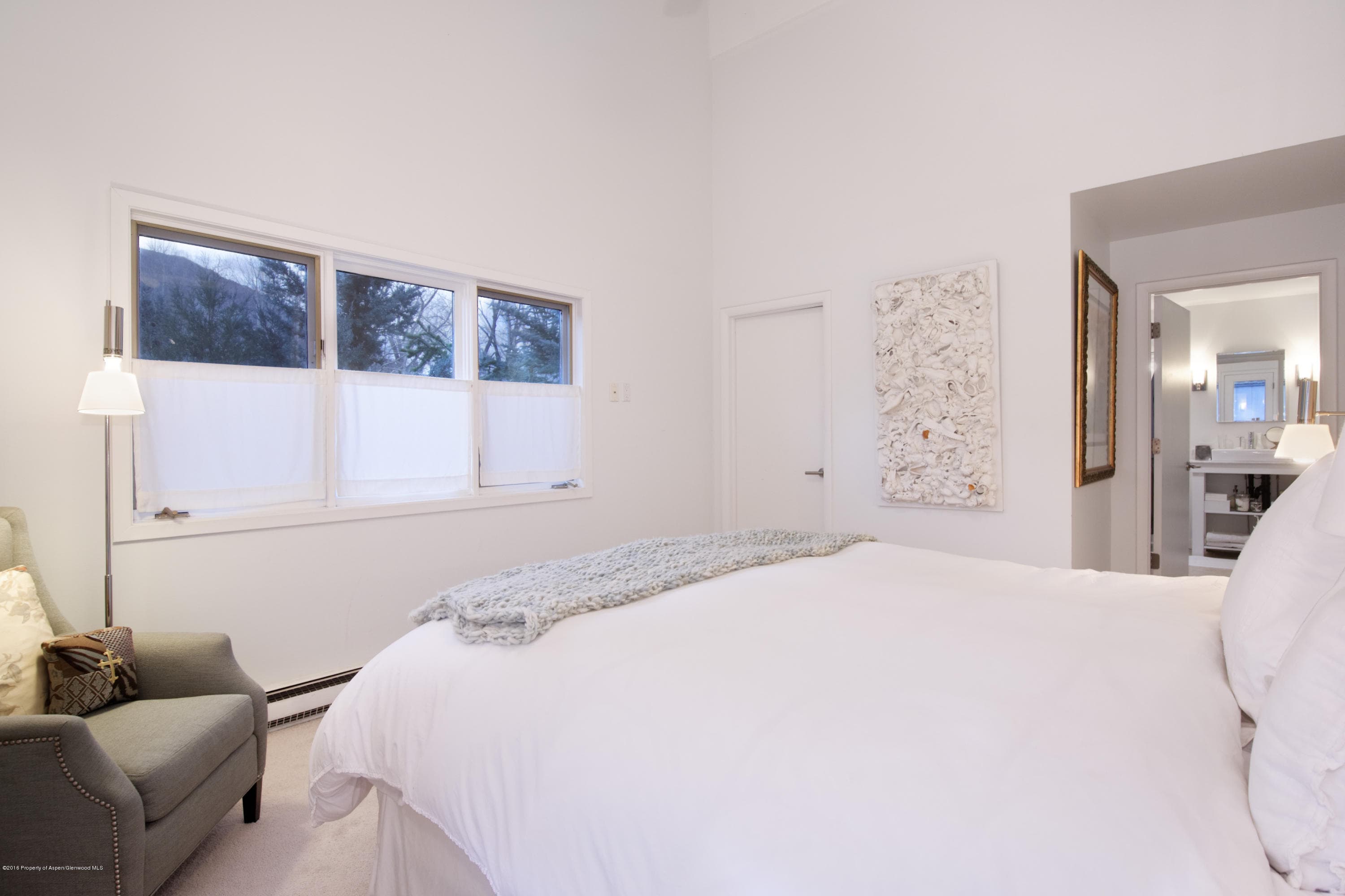 860 Cemetery Lane, Aspen, CO 81611 - Photo 11