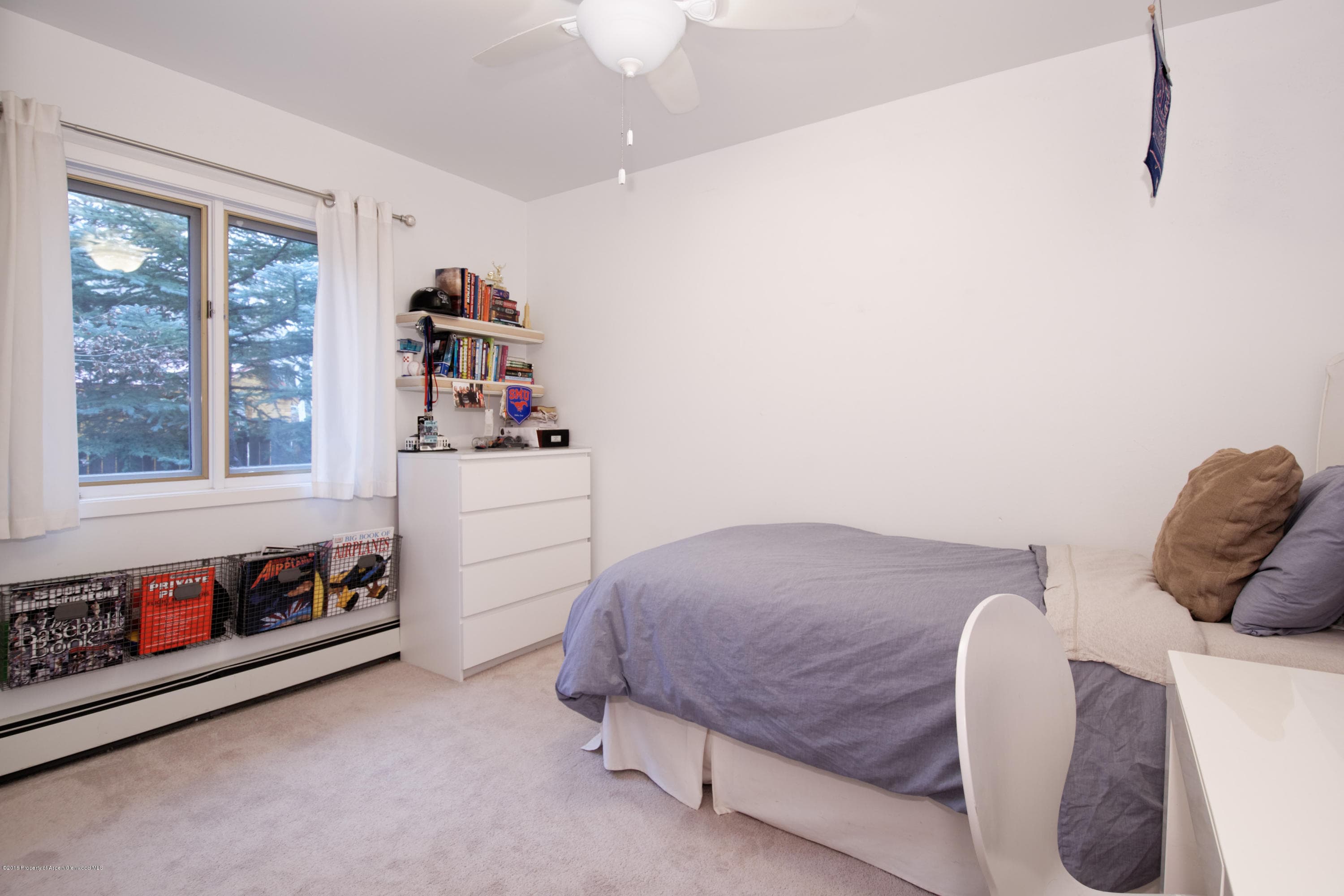 860 Cemetery Lane, Aspen, CO 81611 - Photo 13