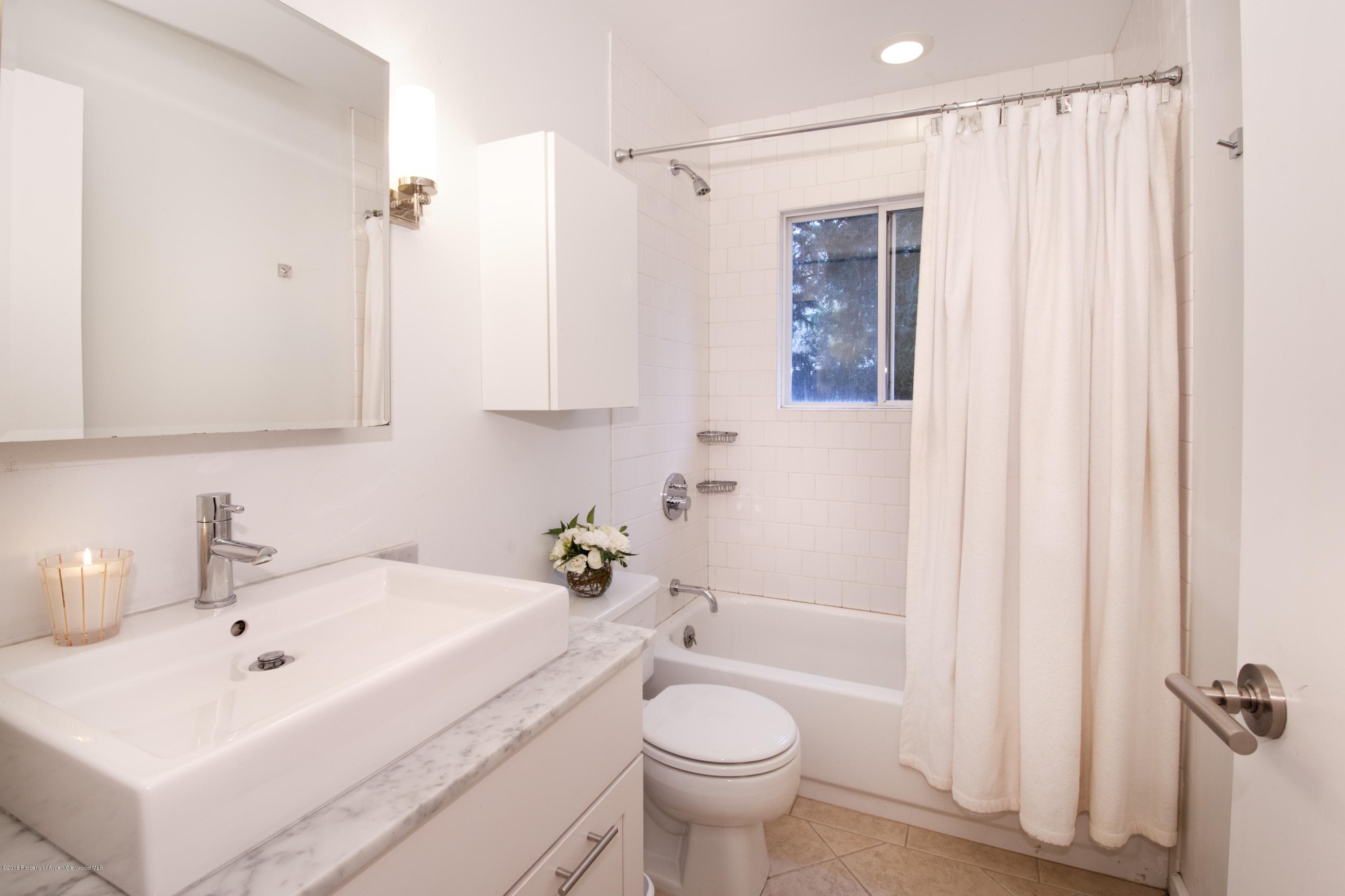 860 Cemetery Lane, Aspen, CO 81611 - Photo 15